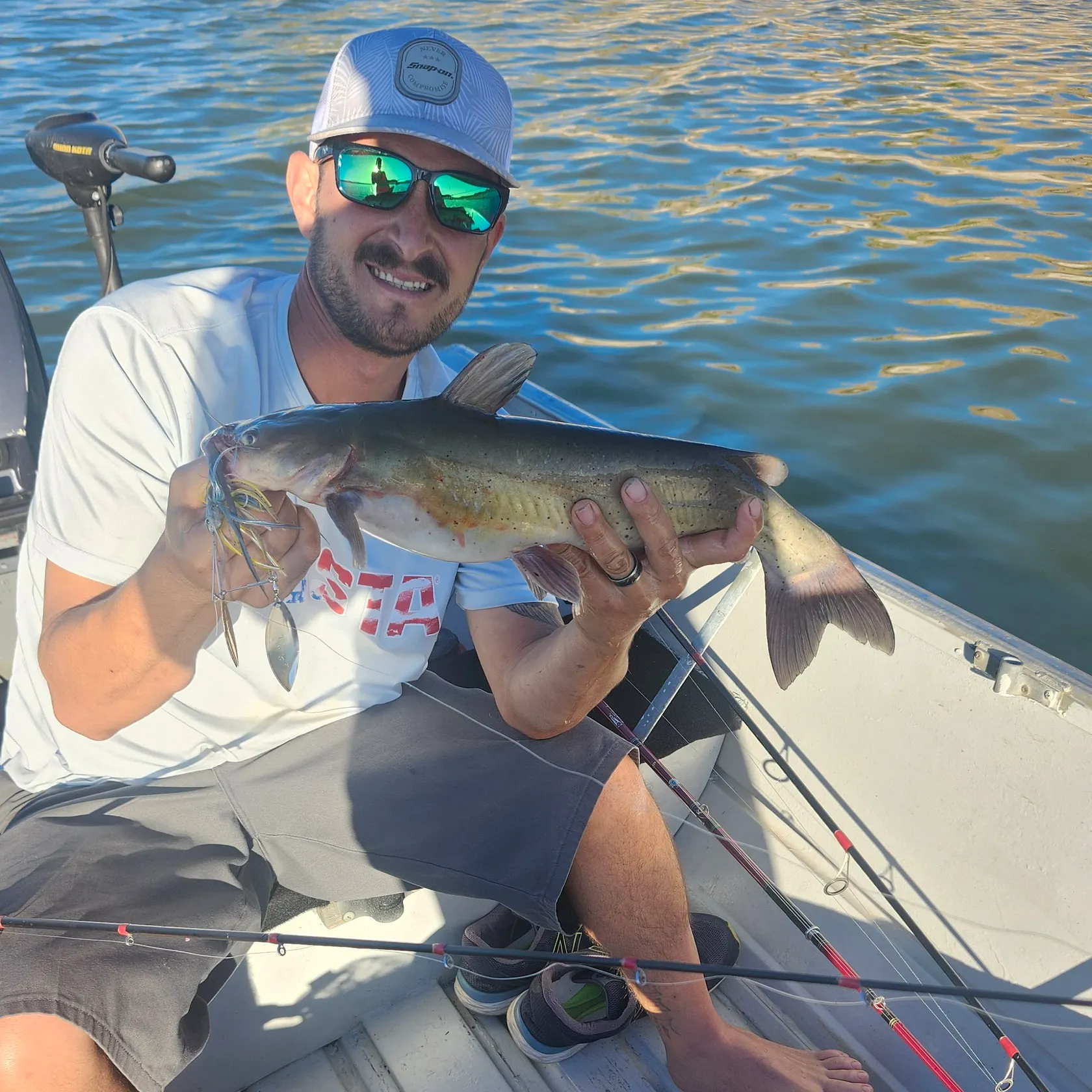 Channel catfish caught on Fishbrain