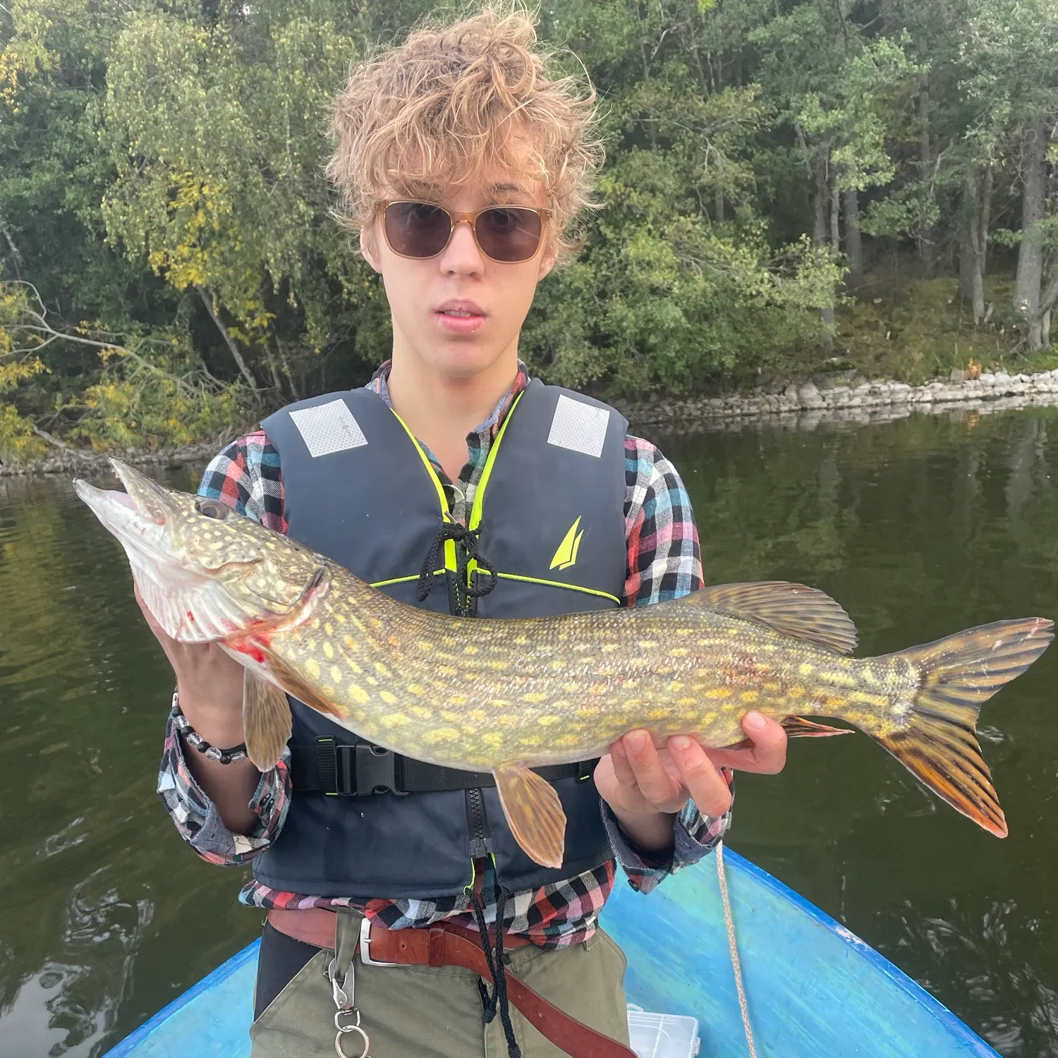 Northern pike caught on Fishbrain