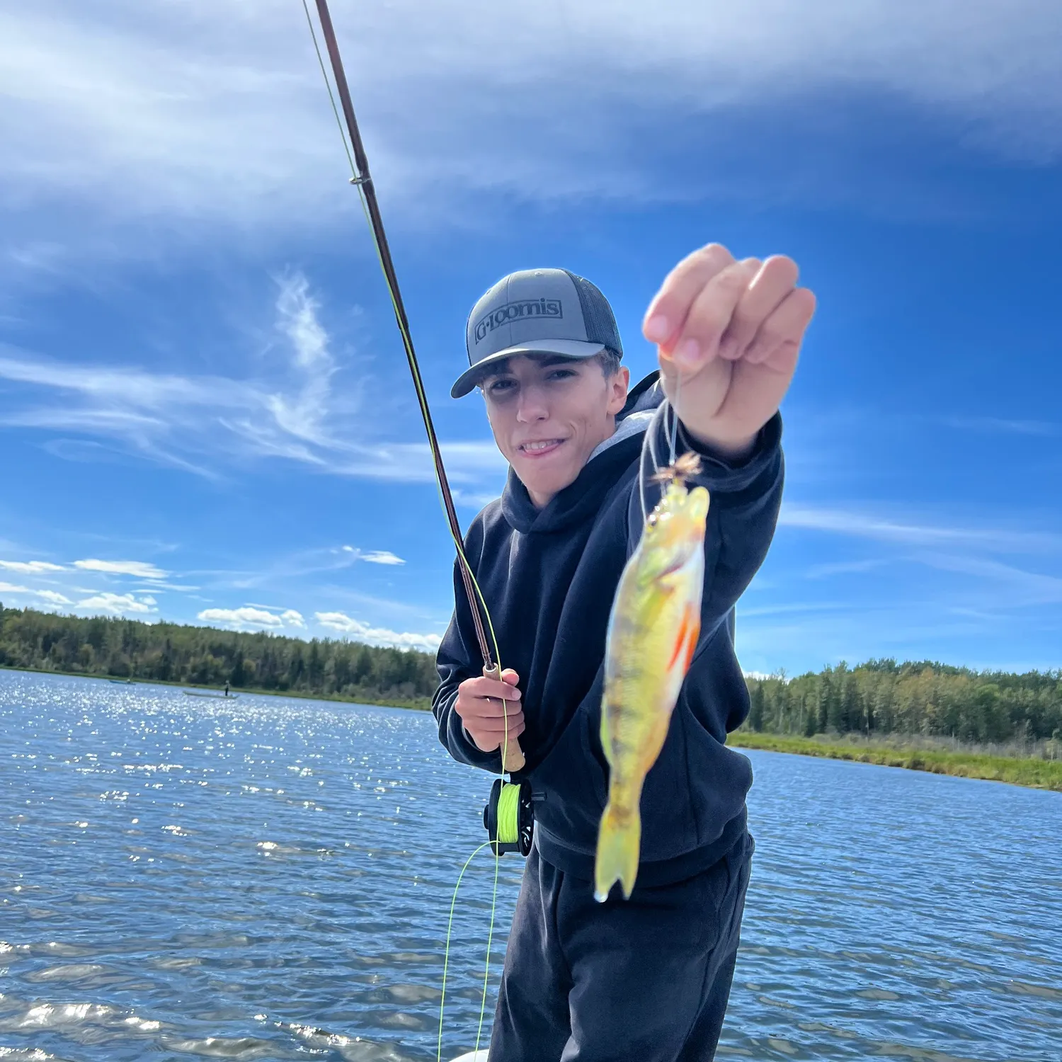 Yellow perch caught on Fishbrain