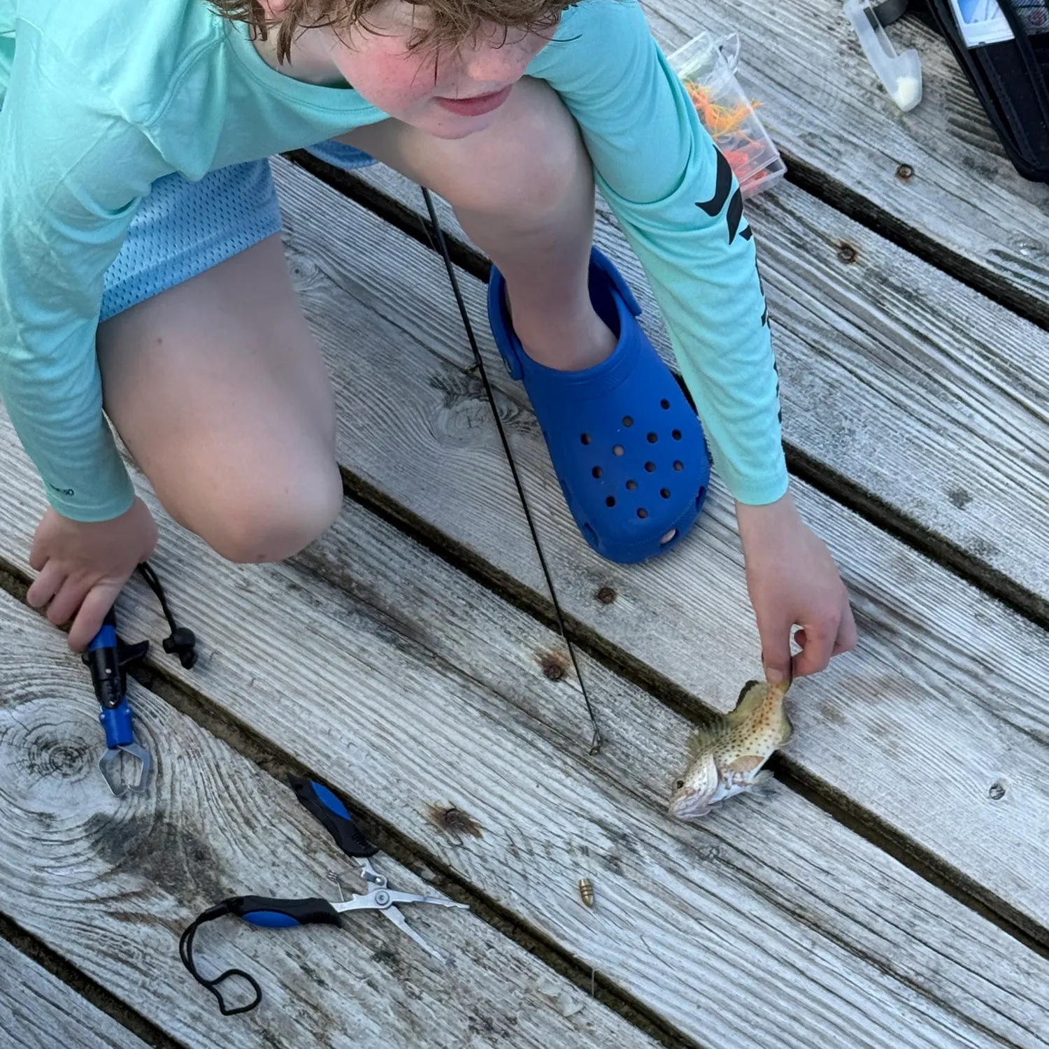 The most recent Rock hind catches on Fishbrain
