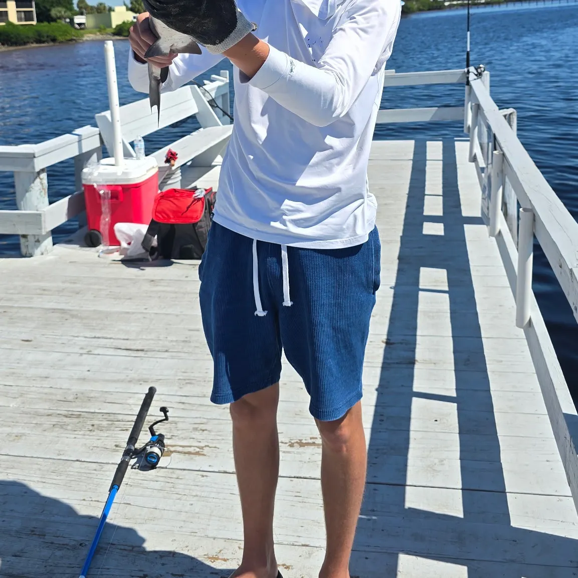 The most recent Bull shark catches on Fishbrain