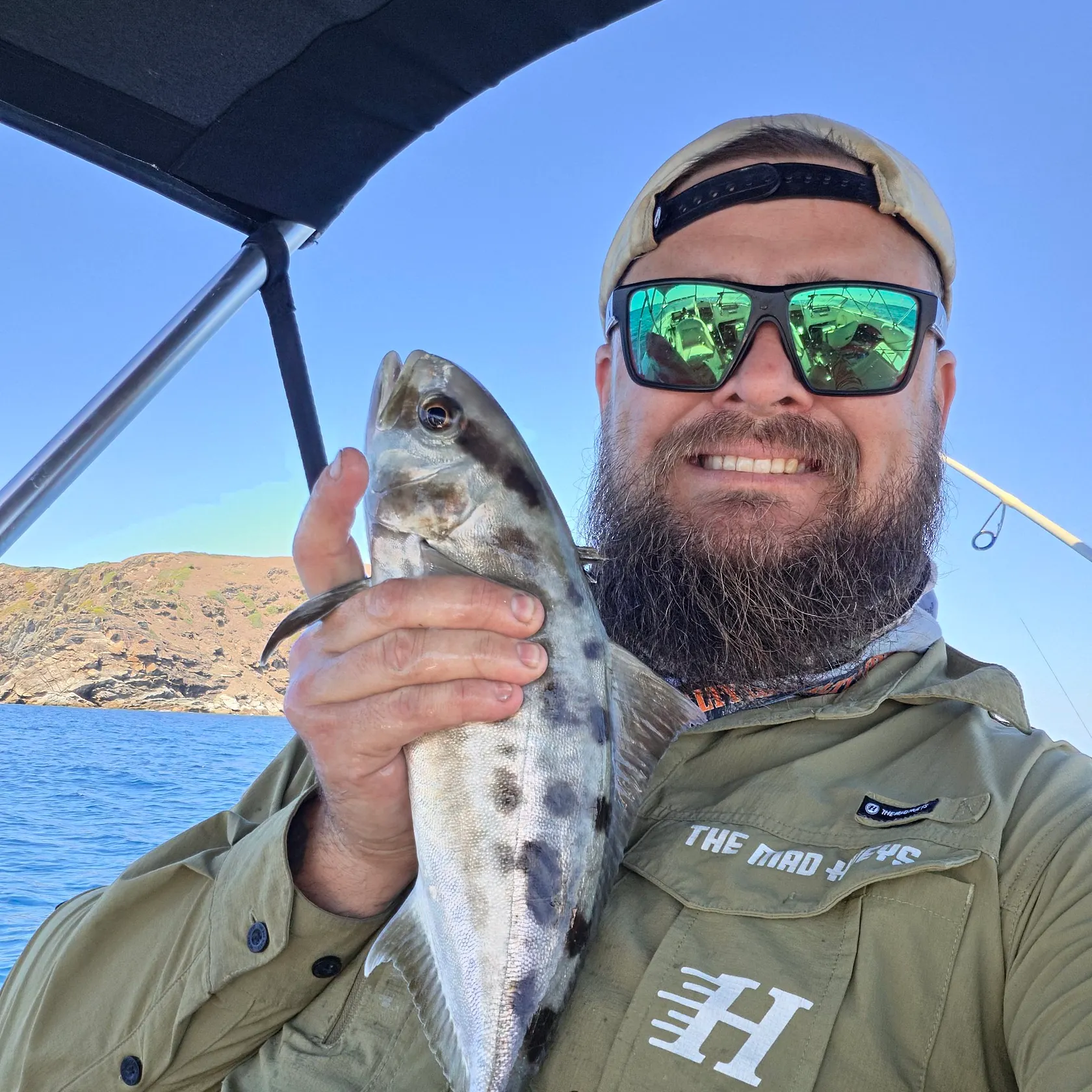 The most recent Blackbanded trevally catches on Fishbrain