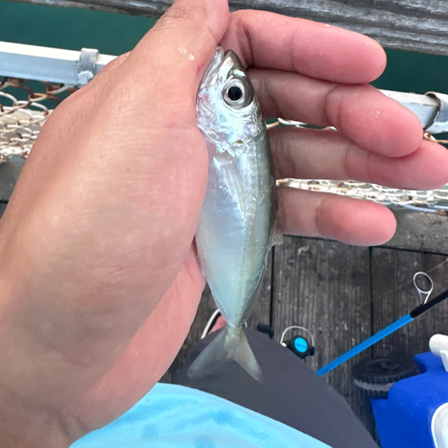 most liked catch image