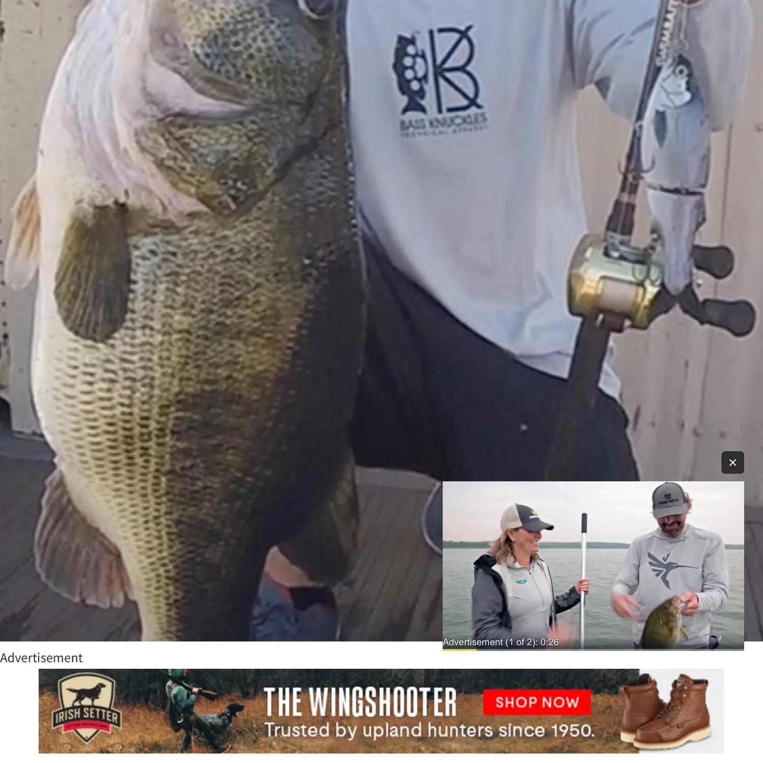 Largemouth bass caught on Fishbrain