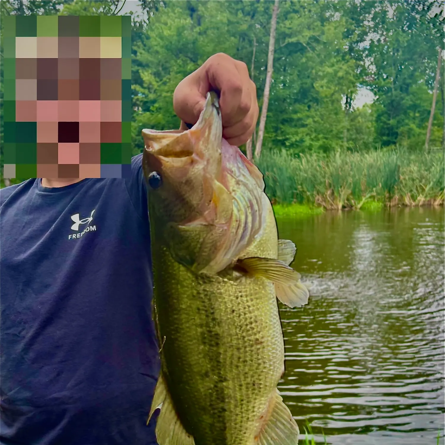 Largemouth bass caught on Fishbrain
