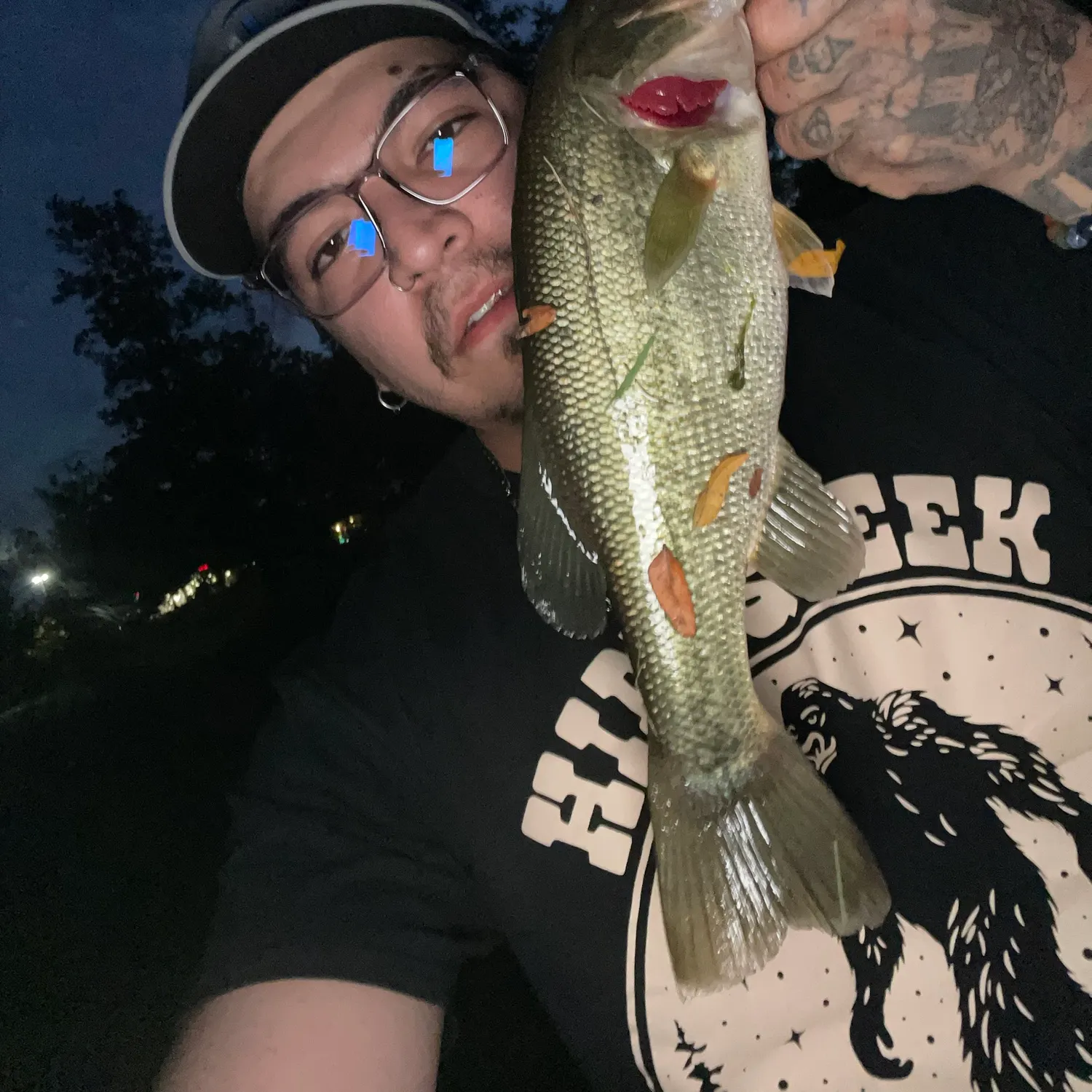 Largemouth bass caught on Fishbrain