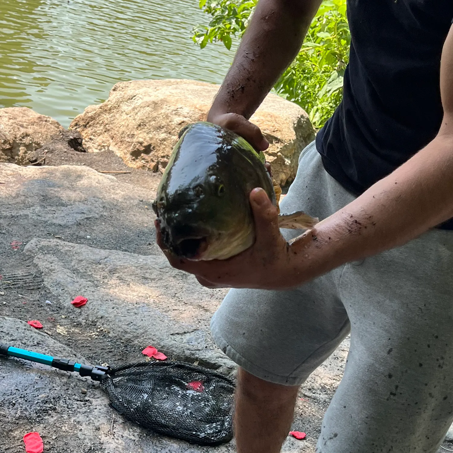catch
