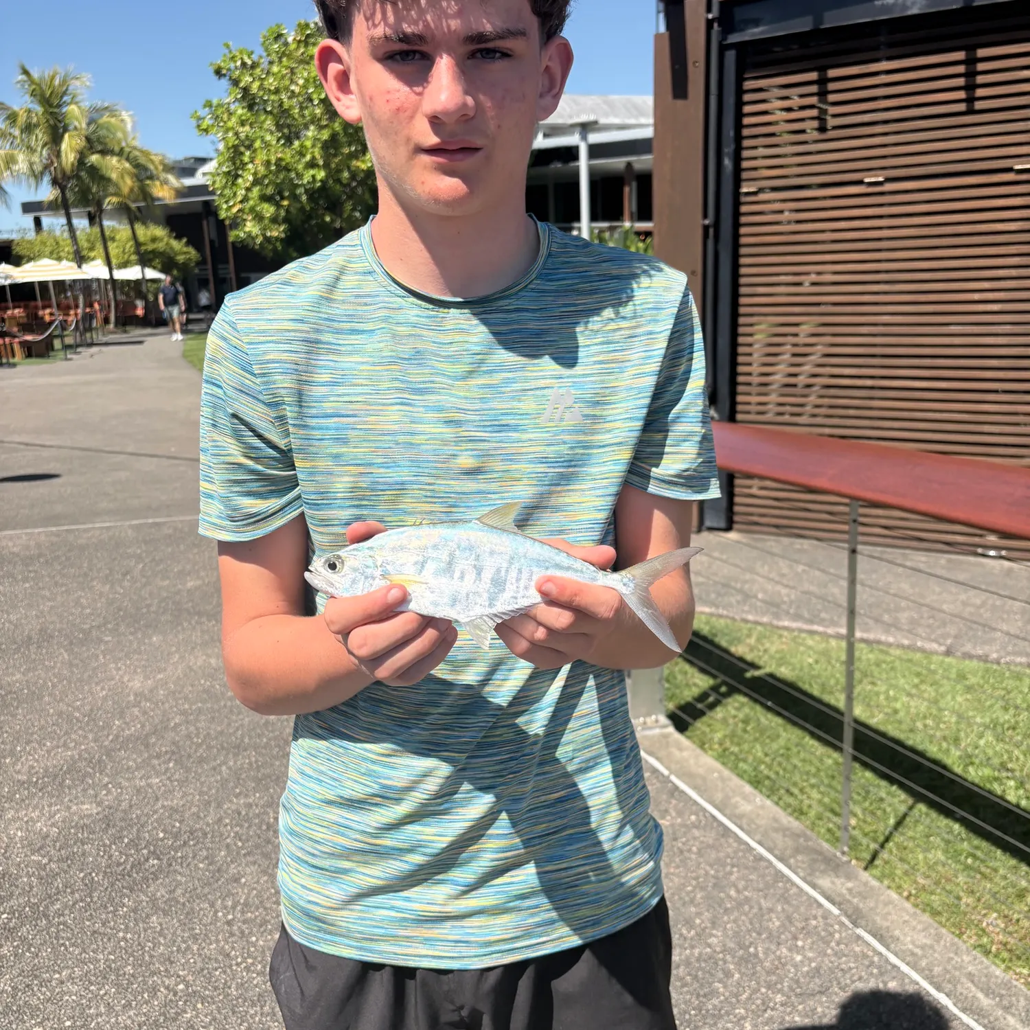 Talang queenfish caught on Fishbrain