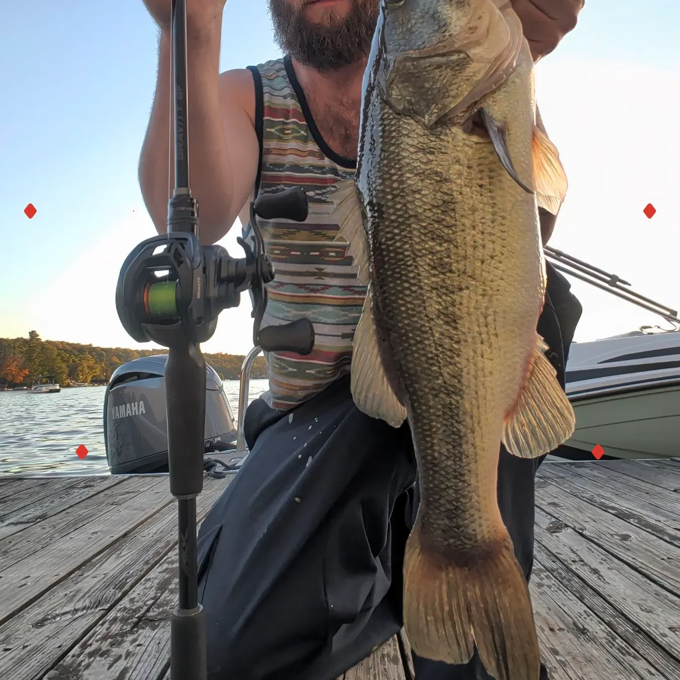 Largemouth bass caught on Fishbrain