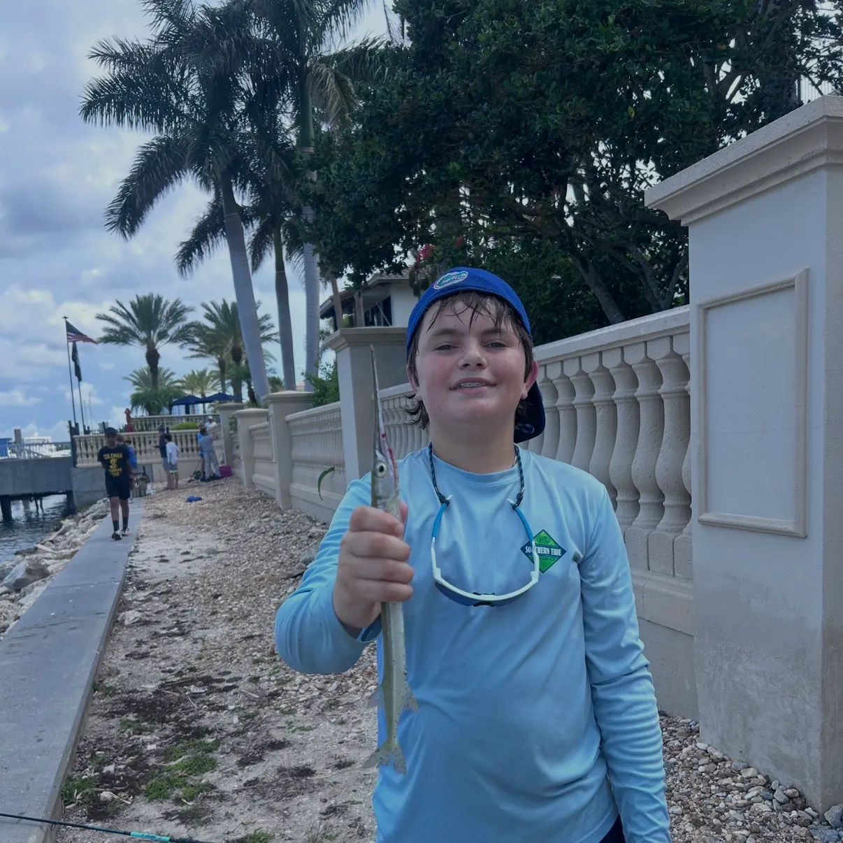 The most recent Redfin needlefish catches on Fishbrain