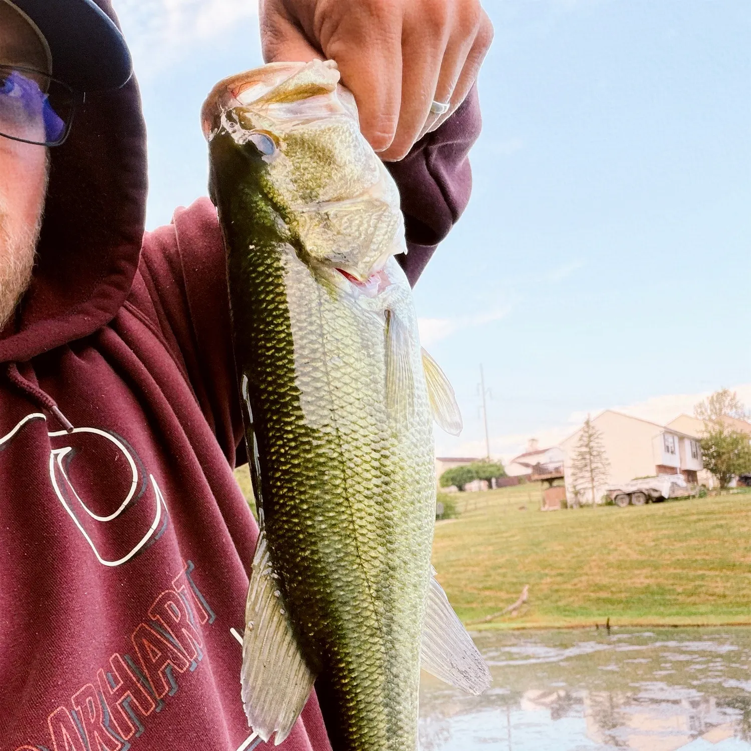 Largemouth bass caught on Fishbrain