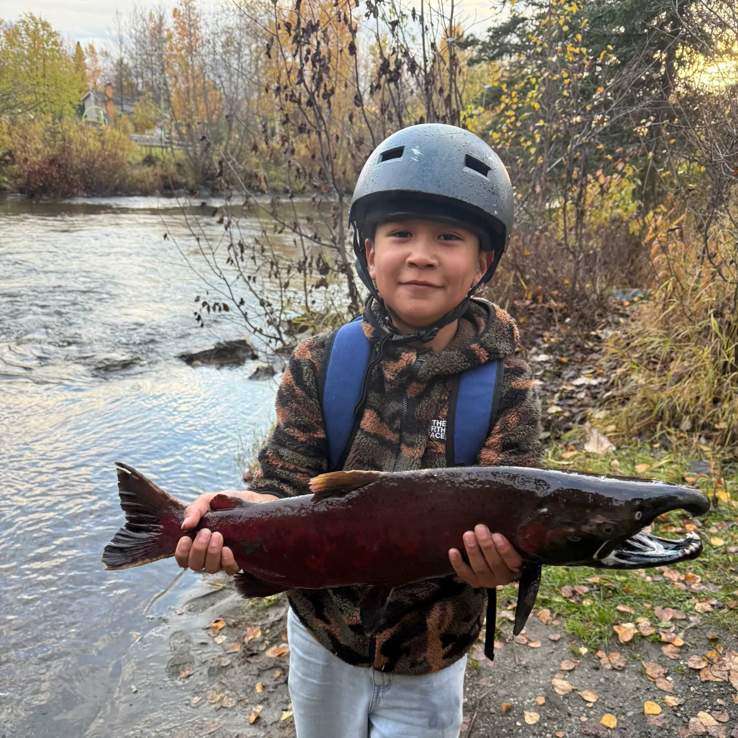 Coho salmon caught on Fishbrain