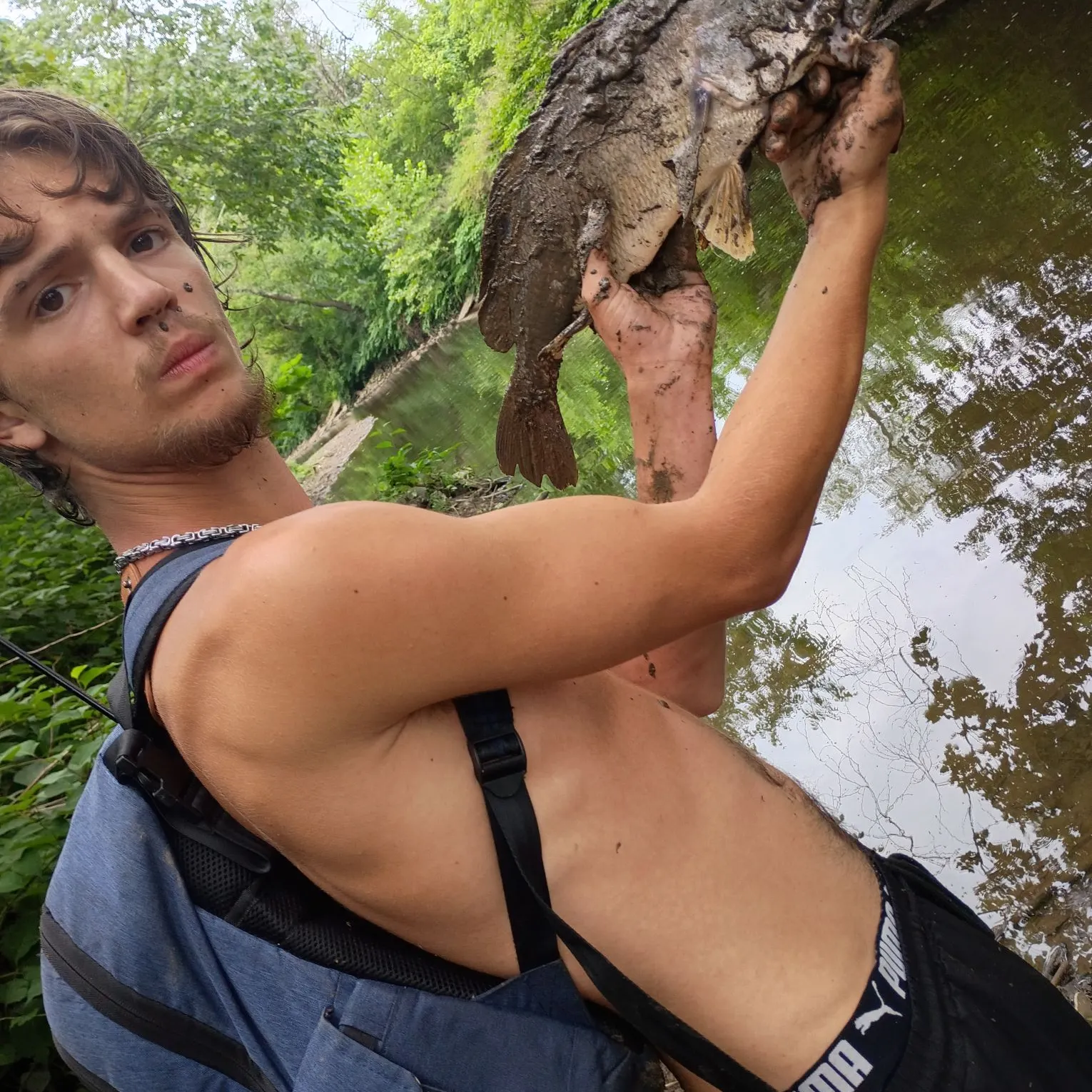 Freshwater drum caught on Fishbrain