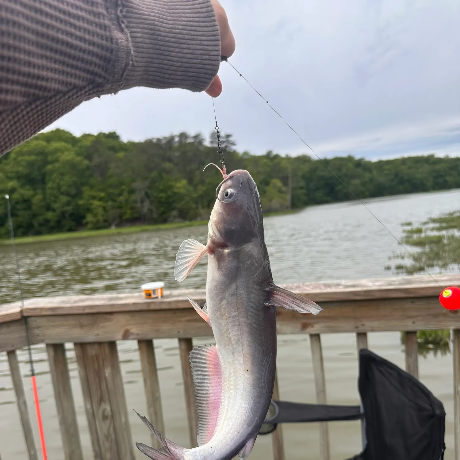 catch
