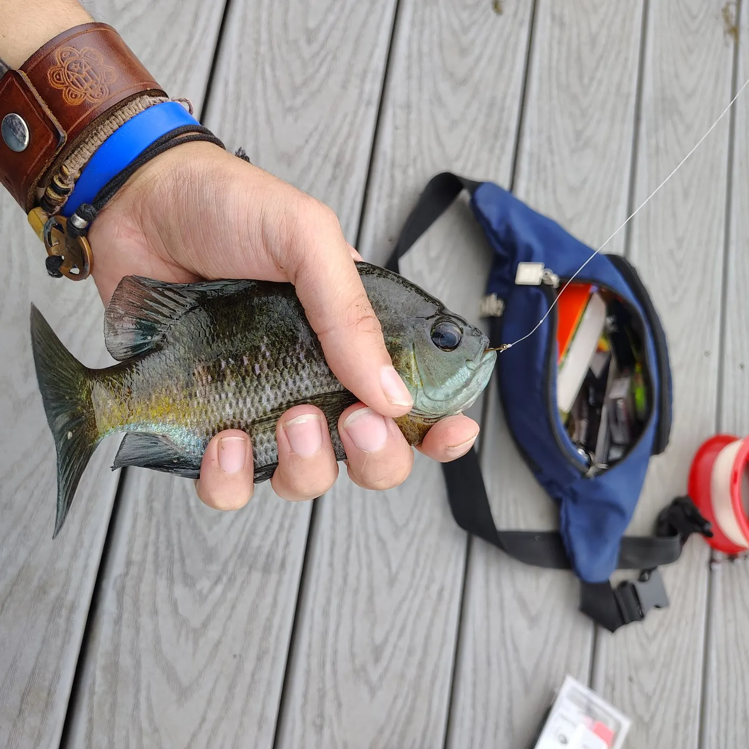catch