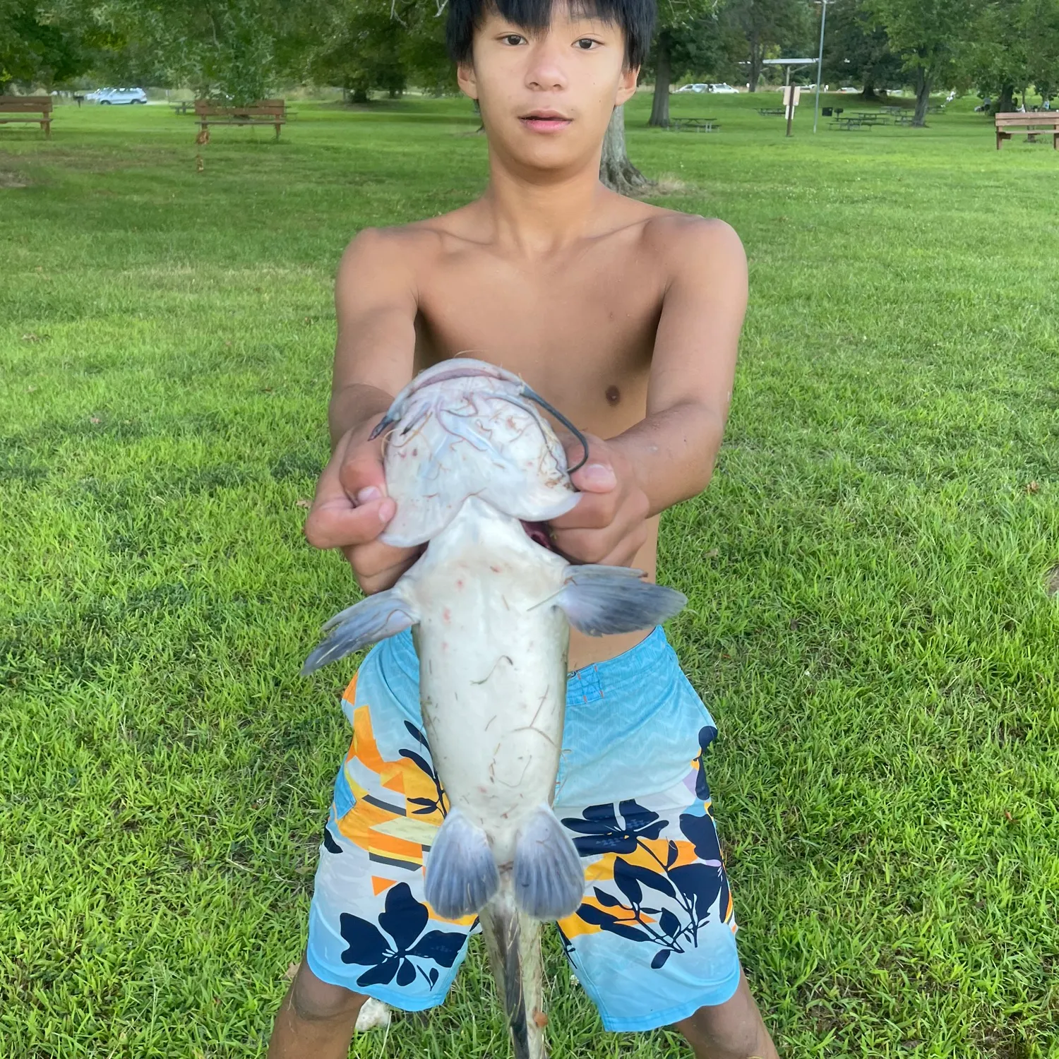 catch