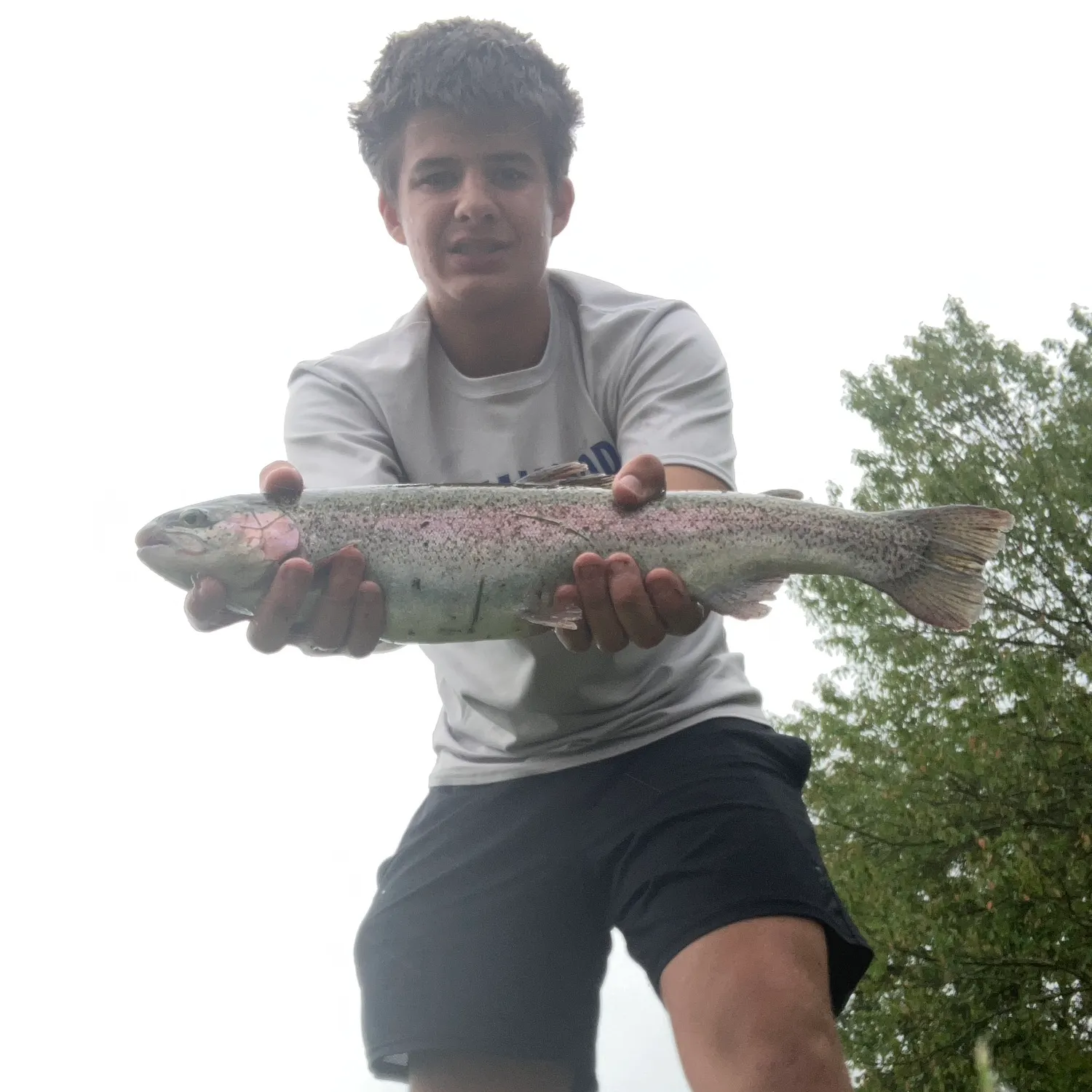 Rainbow trout caught on Fishbrain