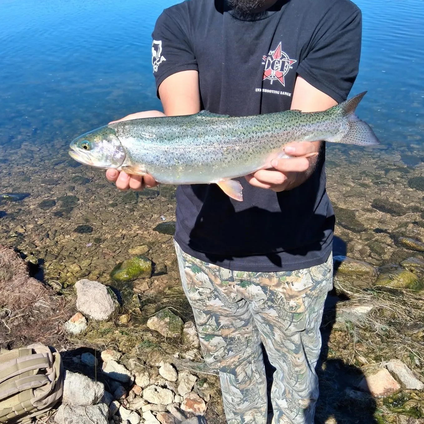 Rainbow trout caught on Fishbrain