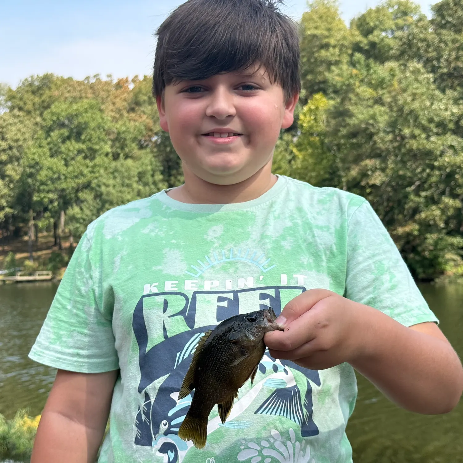 Green sunfish caught on Fishbrain