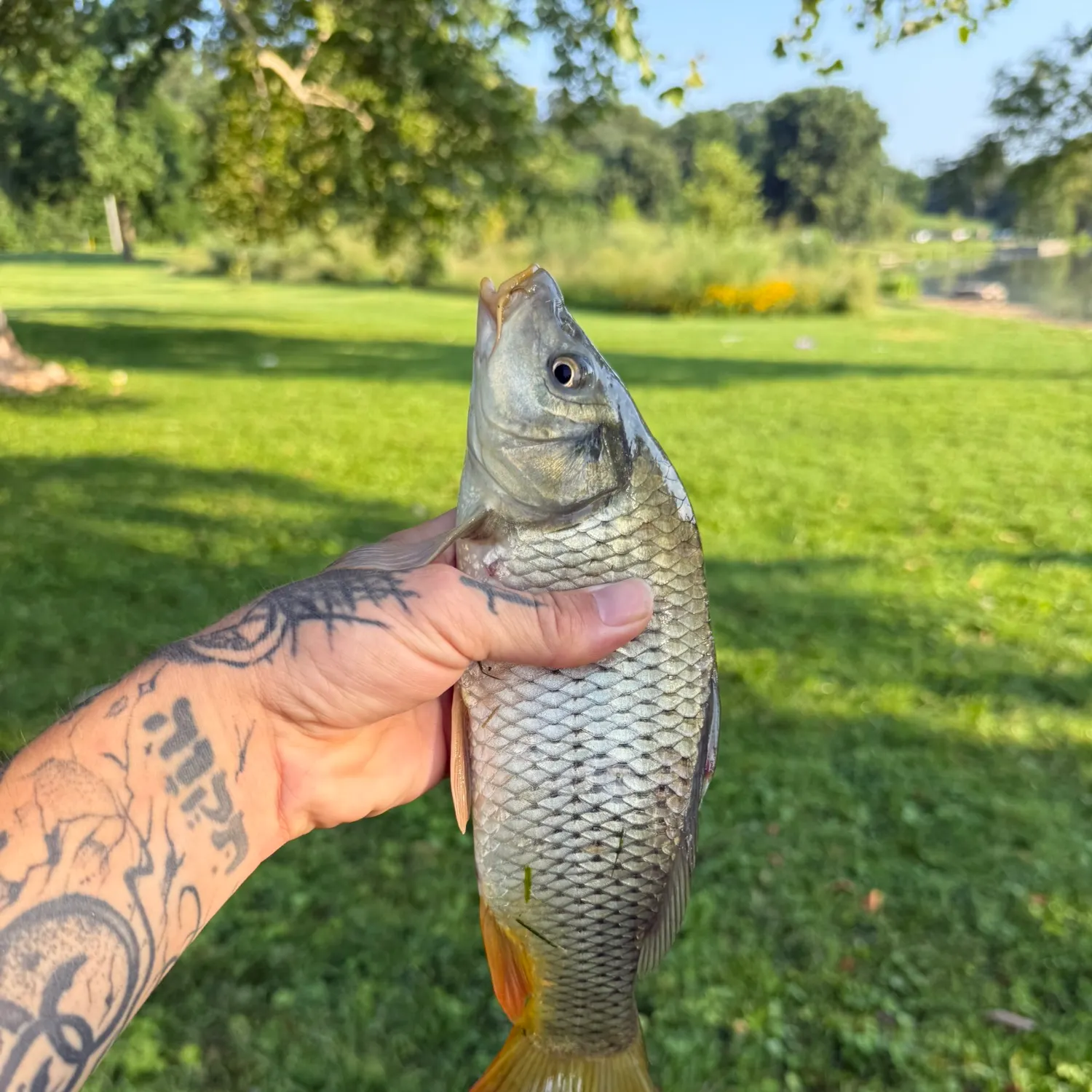catch
