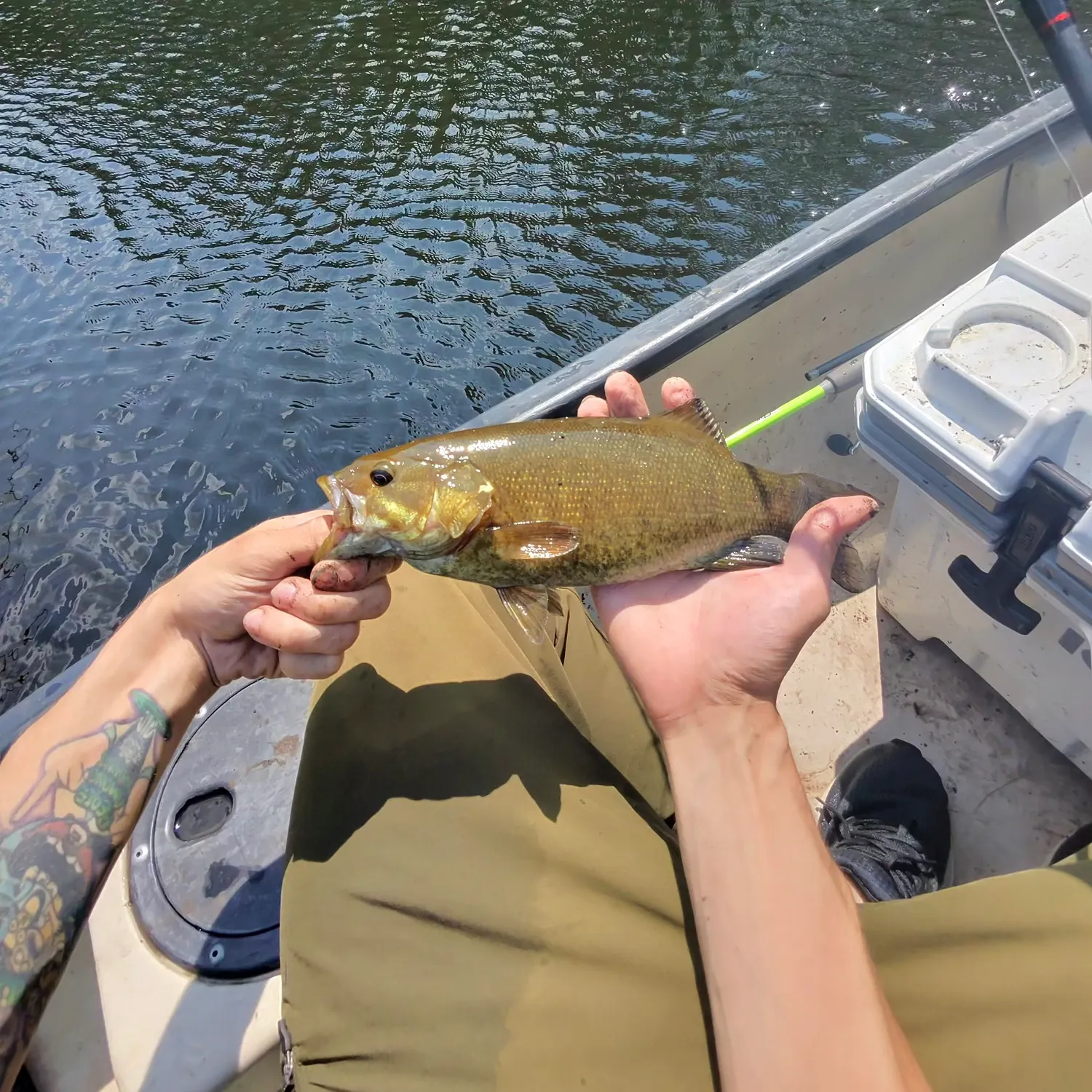 catch