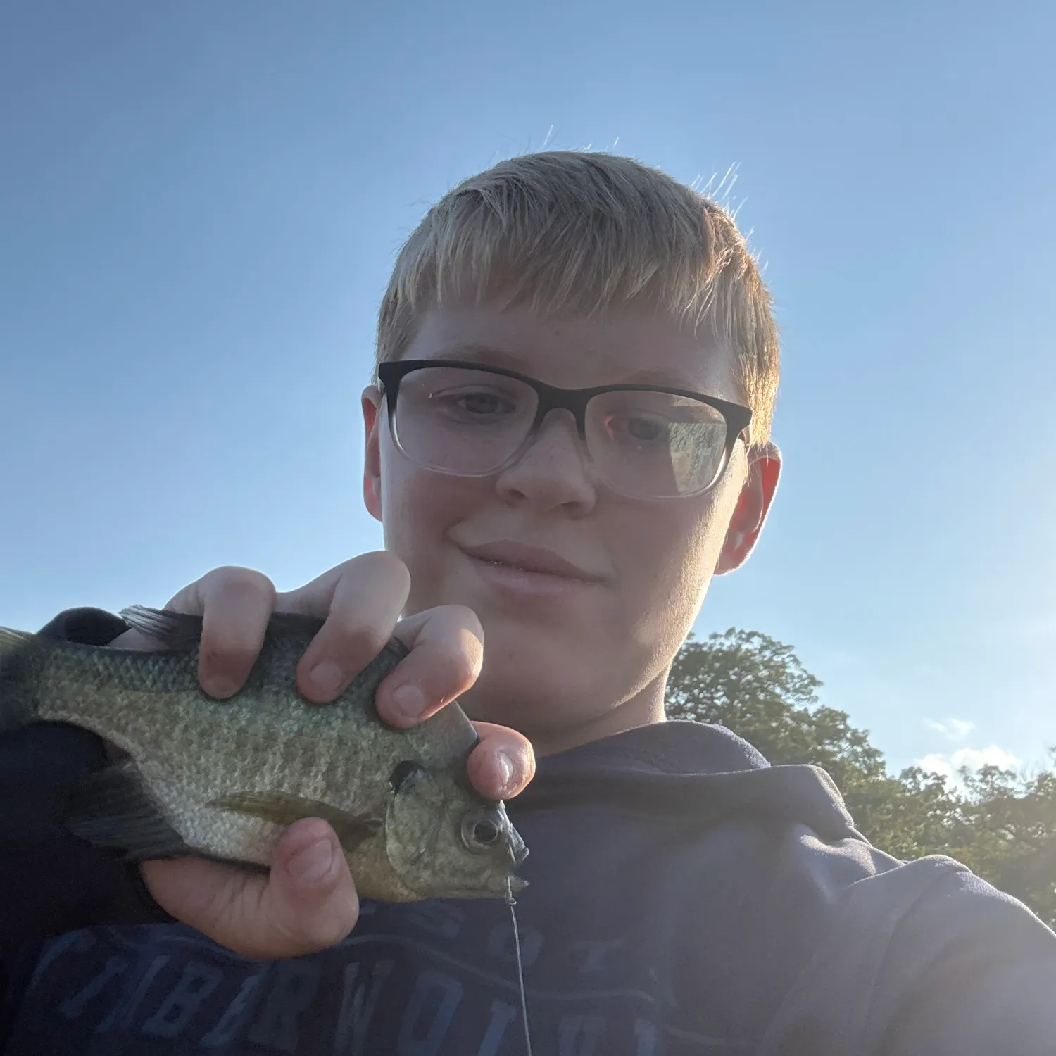 Bluegill caught on Fishbrain