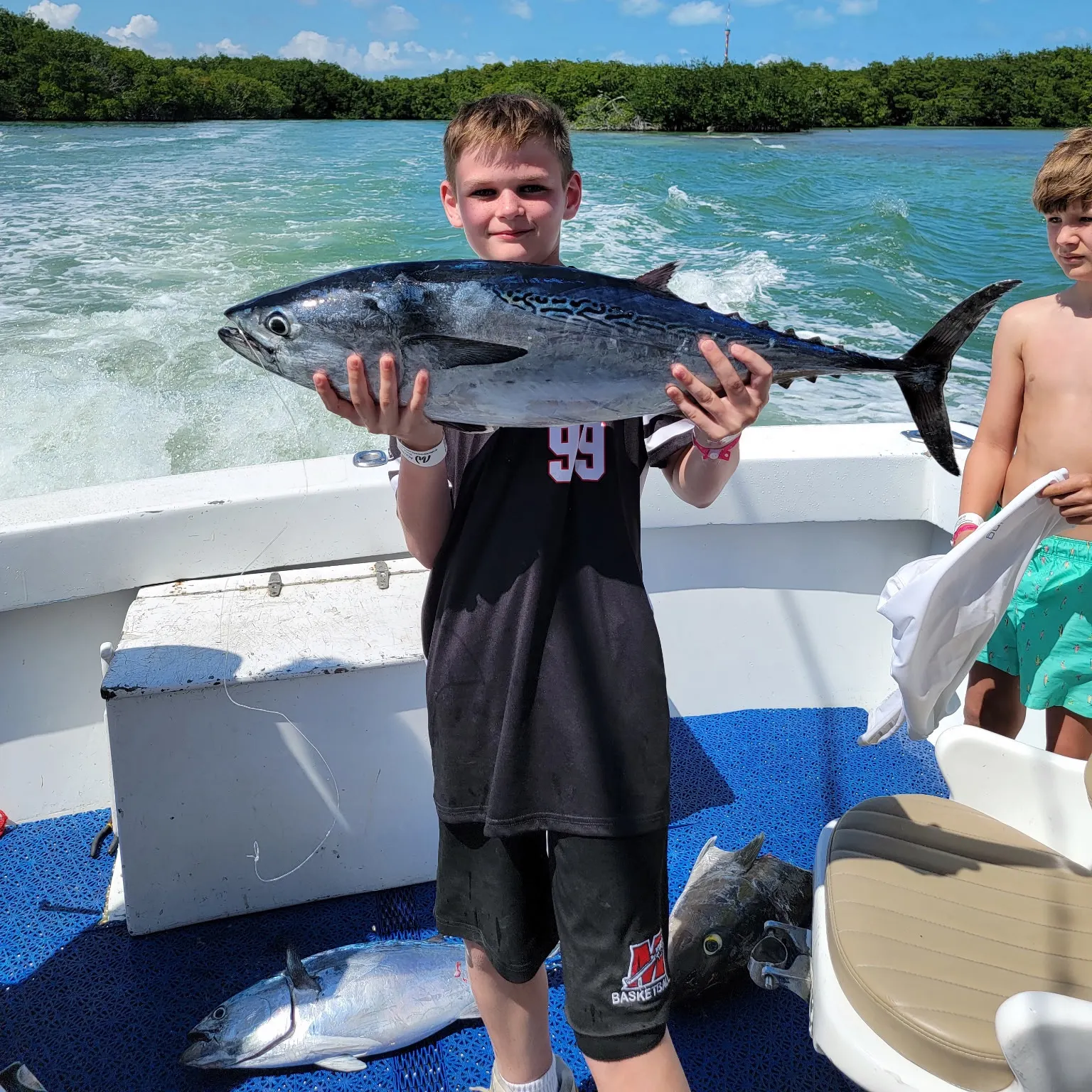 The most recent Little tunny catches on Fishbrain