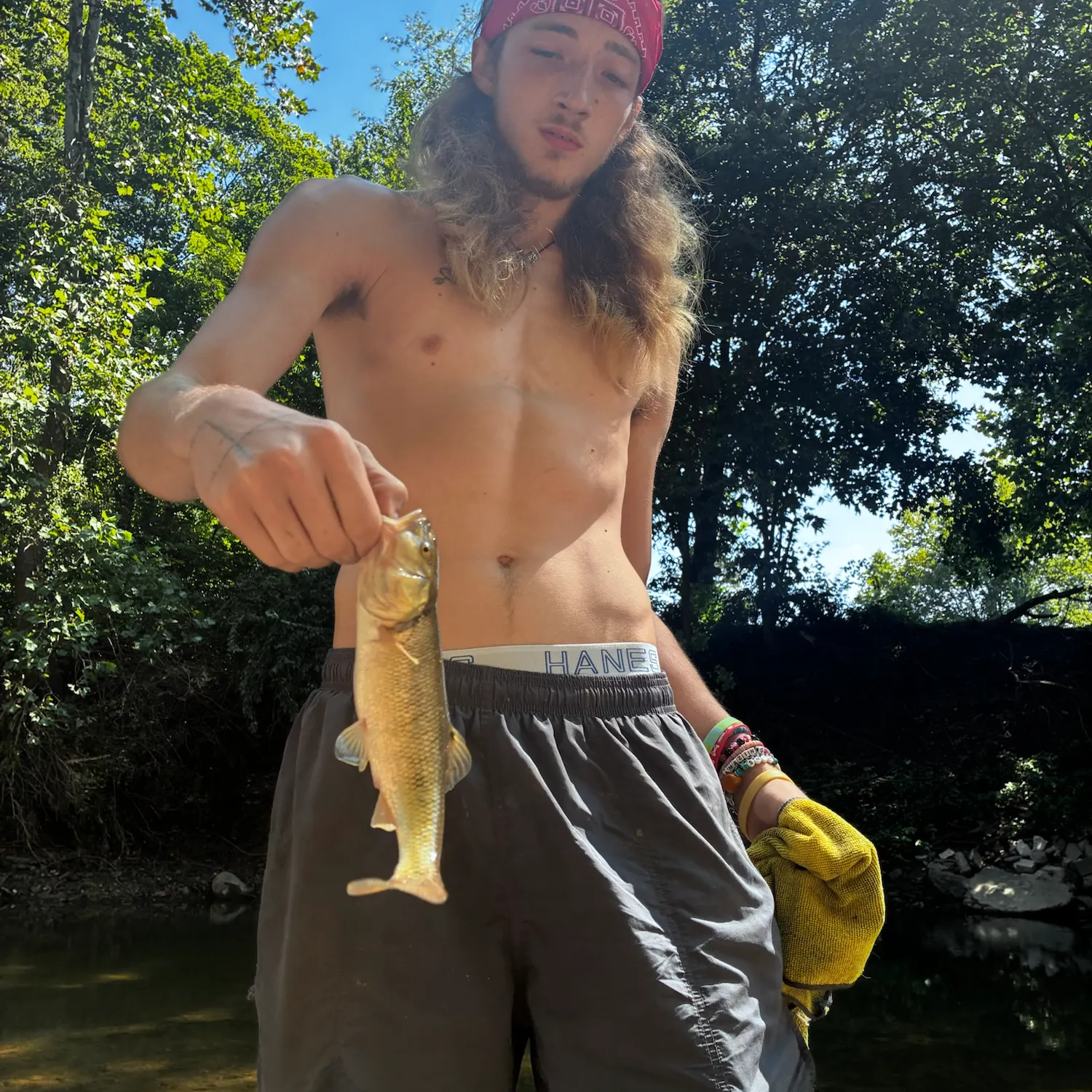 Creek chub caught on Fishbrain