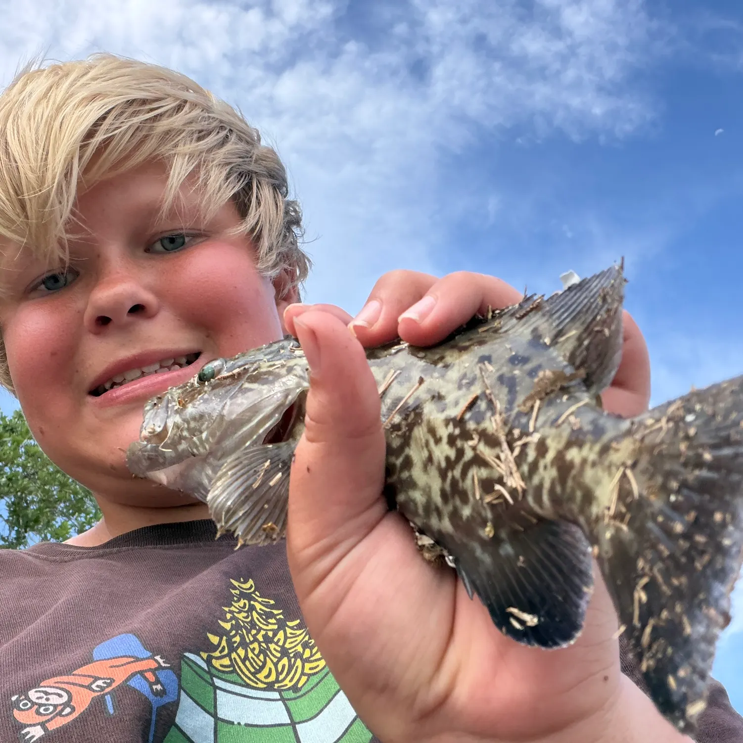 The most recent Gag grouper catches on Fishbrain