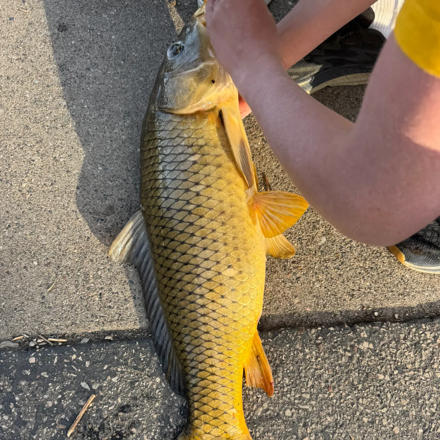 catch