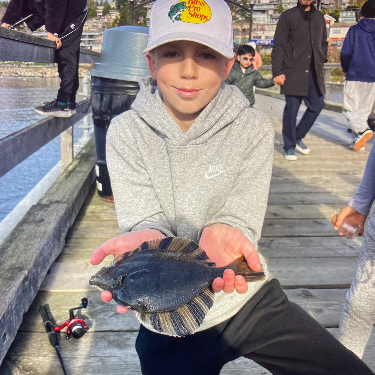 The most recent Starry flounder catches on Fishbrain