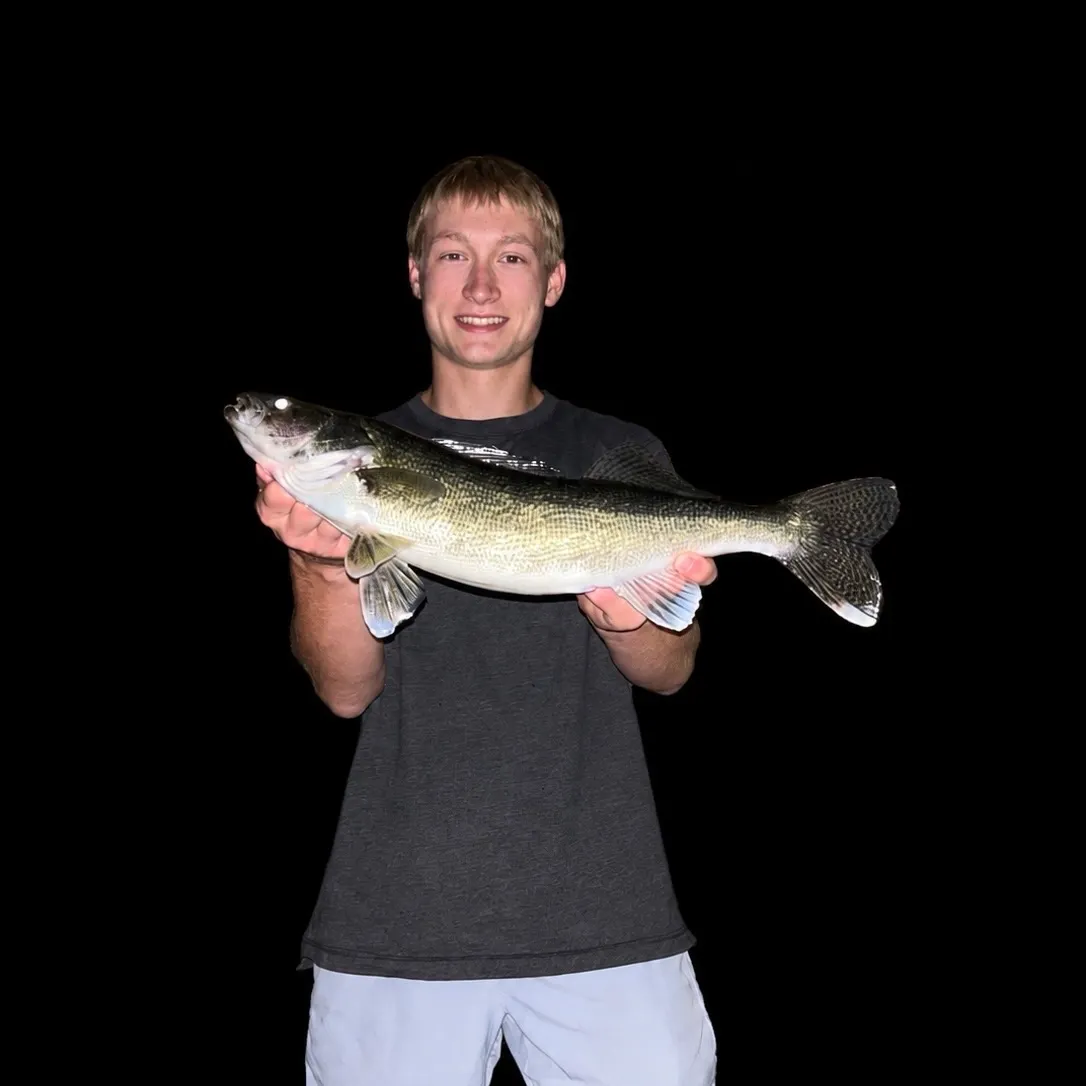 Walleye caught on Fishbrain