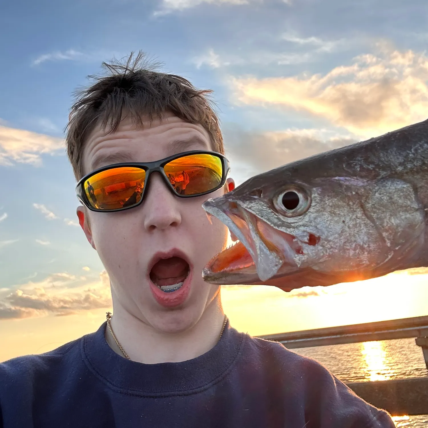 The most recent Silver seatrout catches on Fishbrain