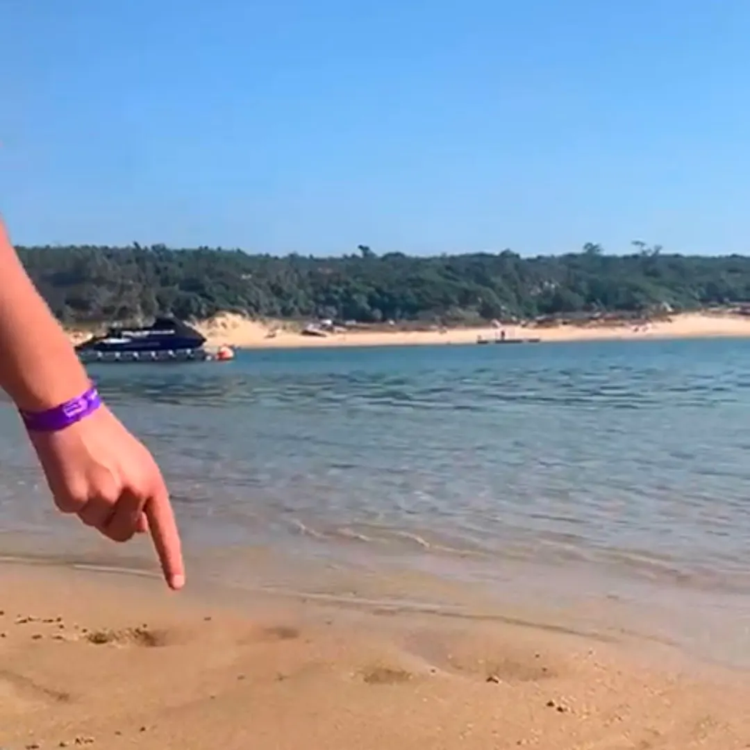 The most recent Common cuttlefish catches on Fishbrain