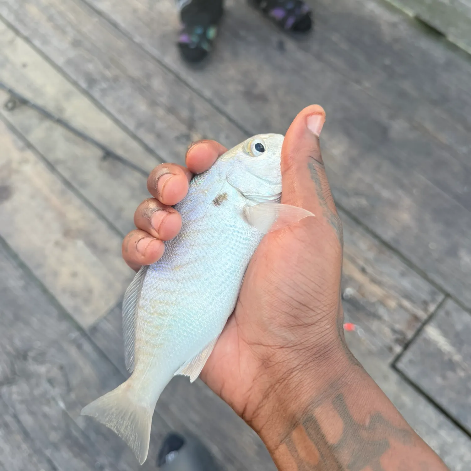 catch