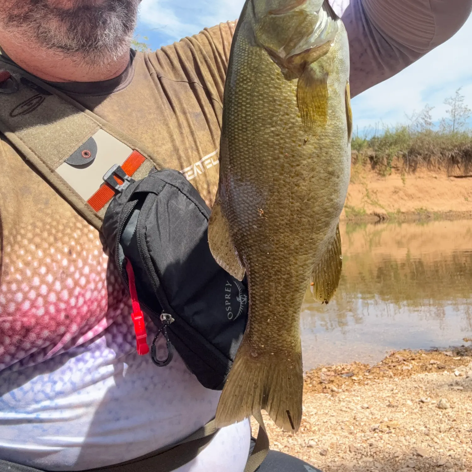 Smallmouth bass caught on Fishbrain