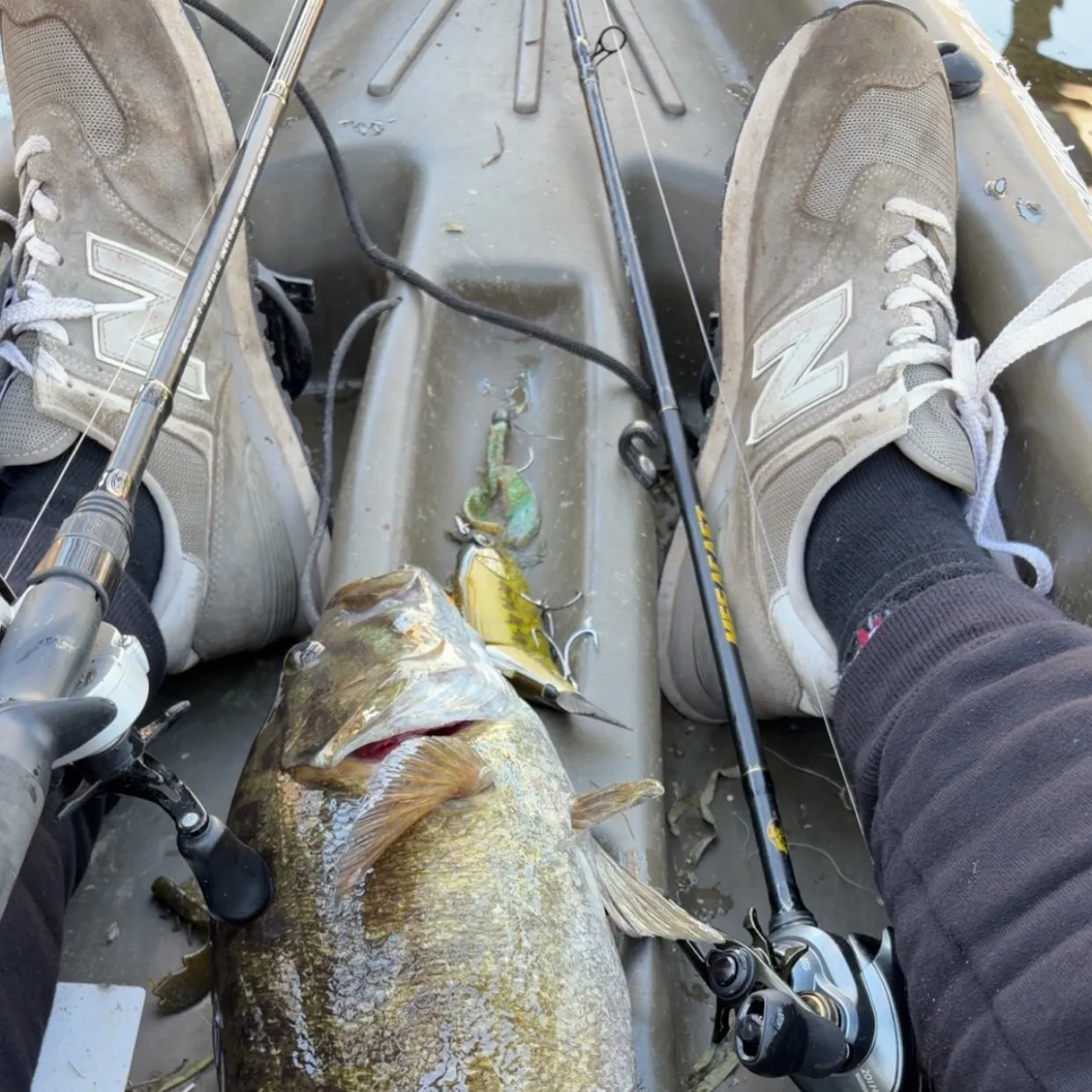 Smallmouth bass caught on Fishbrain