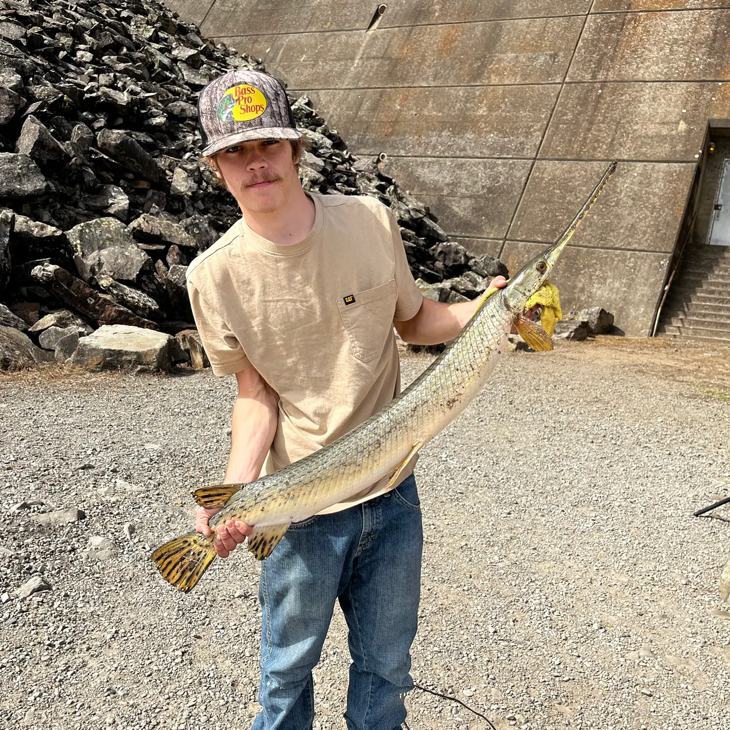 Longnose gar caught on Fishbrain
