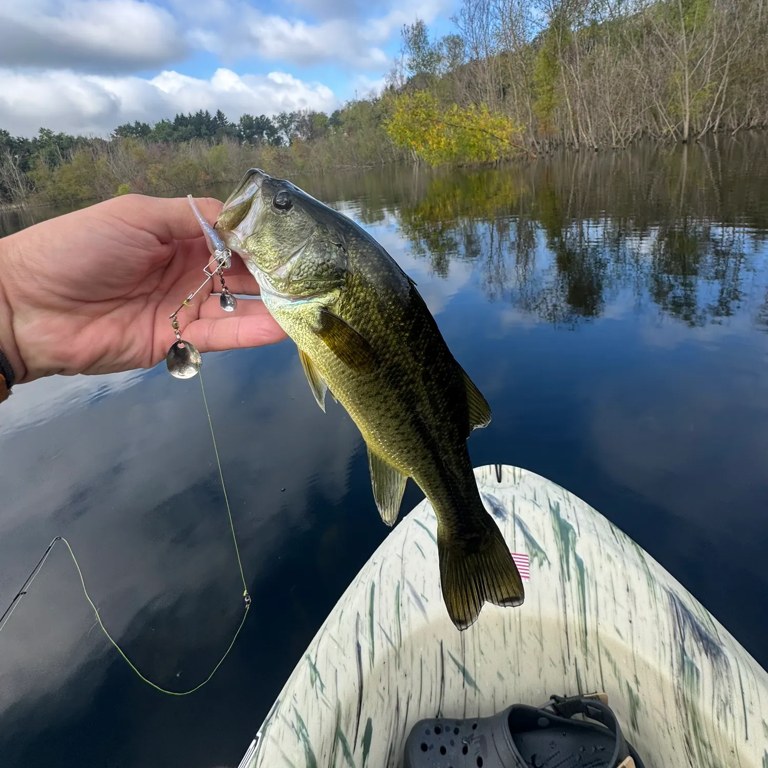 Largemouth bass caught on Fishbrain