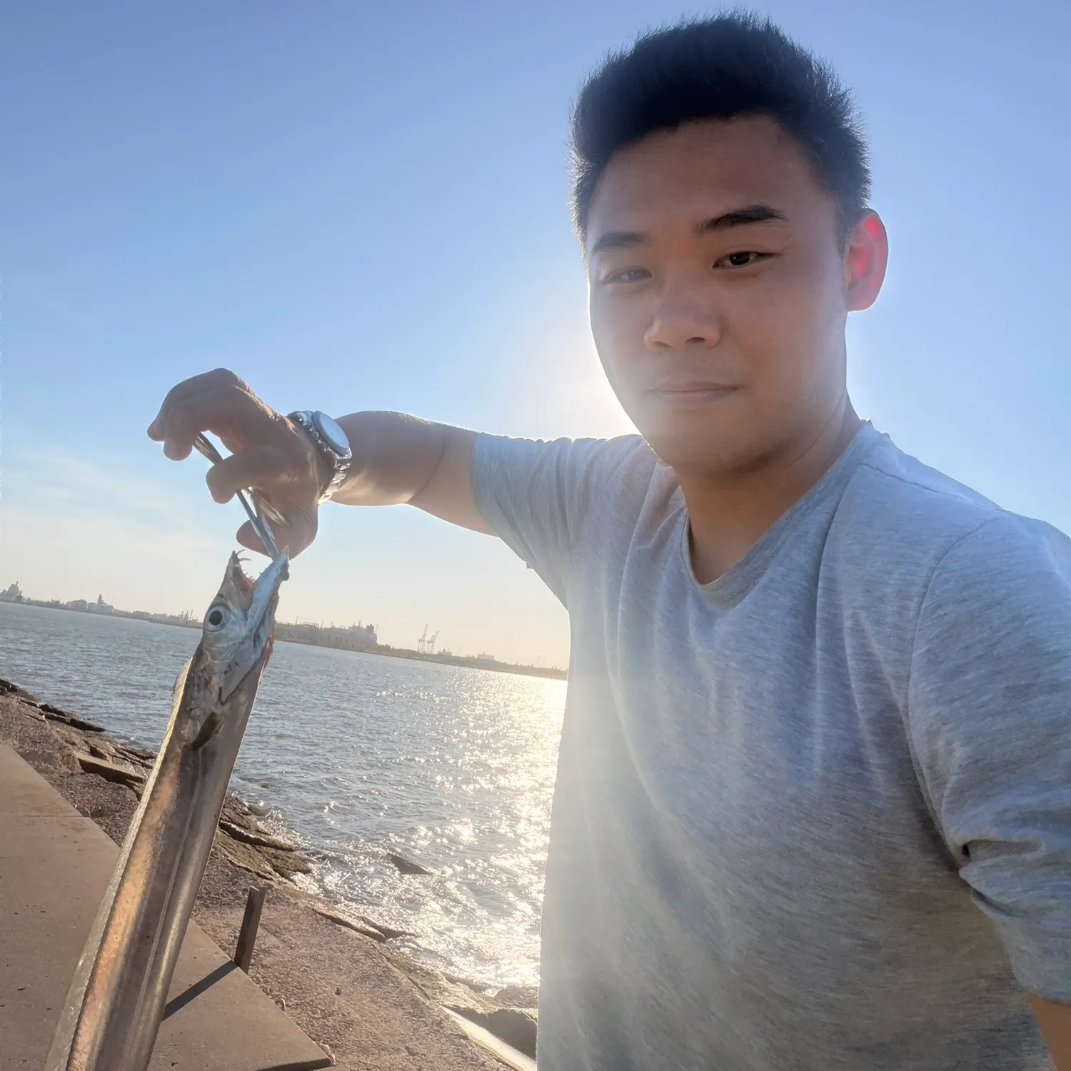 The most recent Atlantic cutlassfish catches on Fishbrain