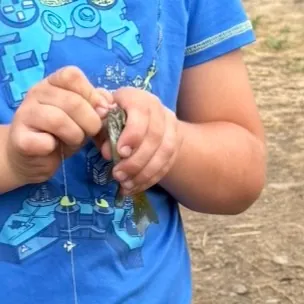 Green sunfish caught on Fishbrain