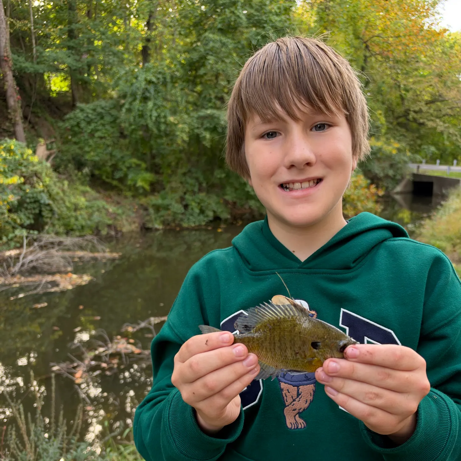 Bluegill caught on Fishbrain