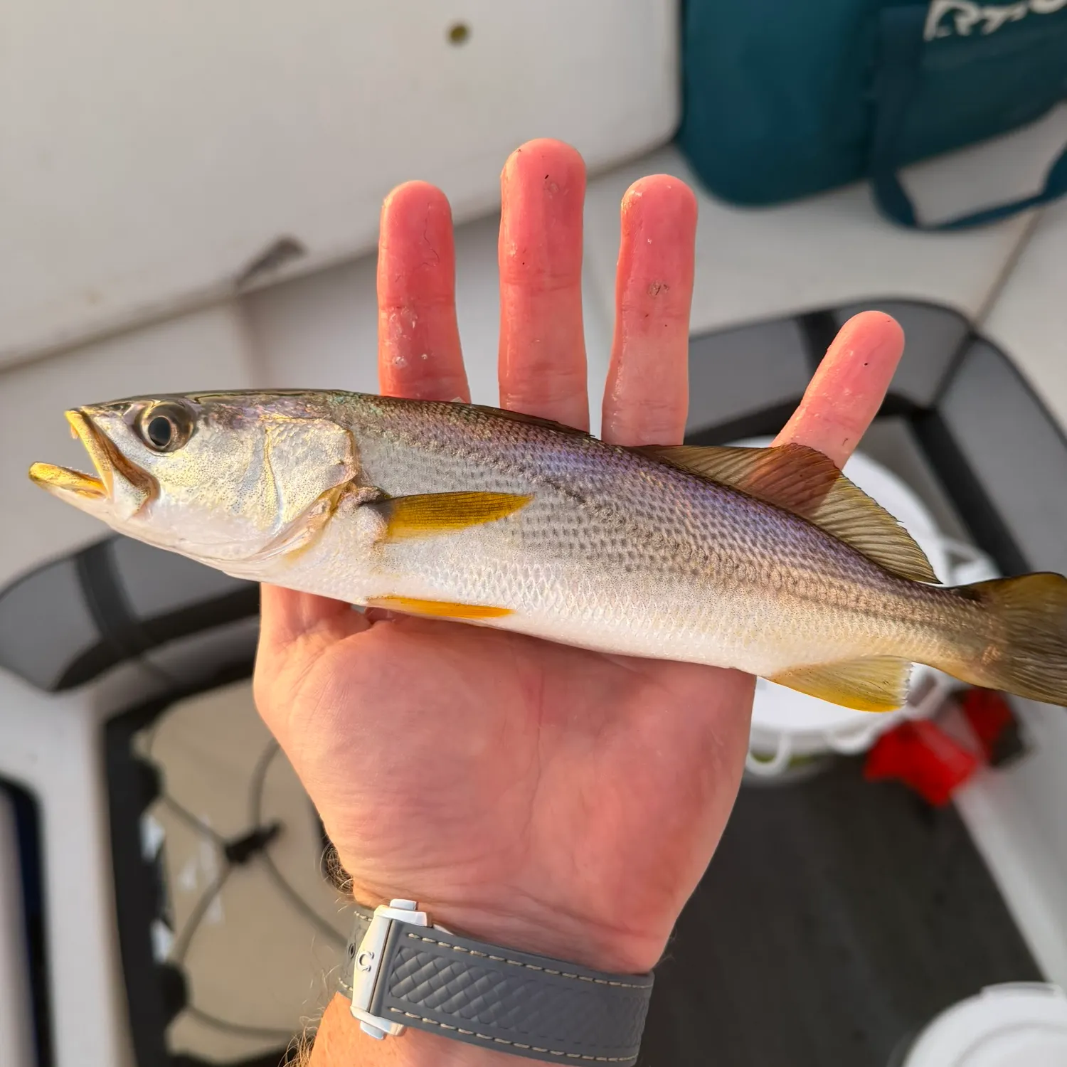 catch