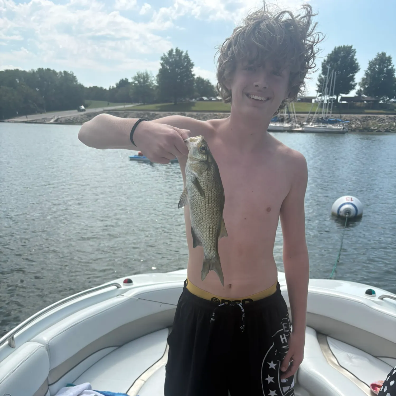 Striped bass caught on Fishbrain