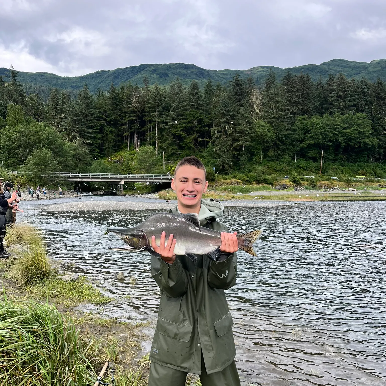 The most recent Pink salmon catches on Fishbrain