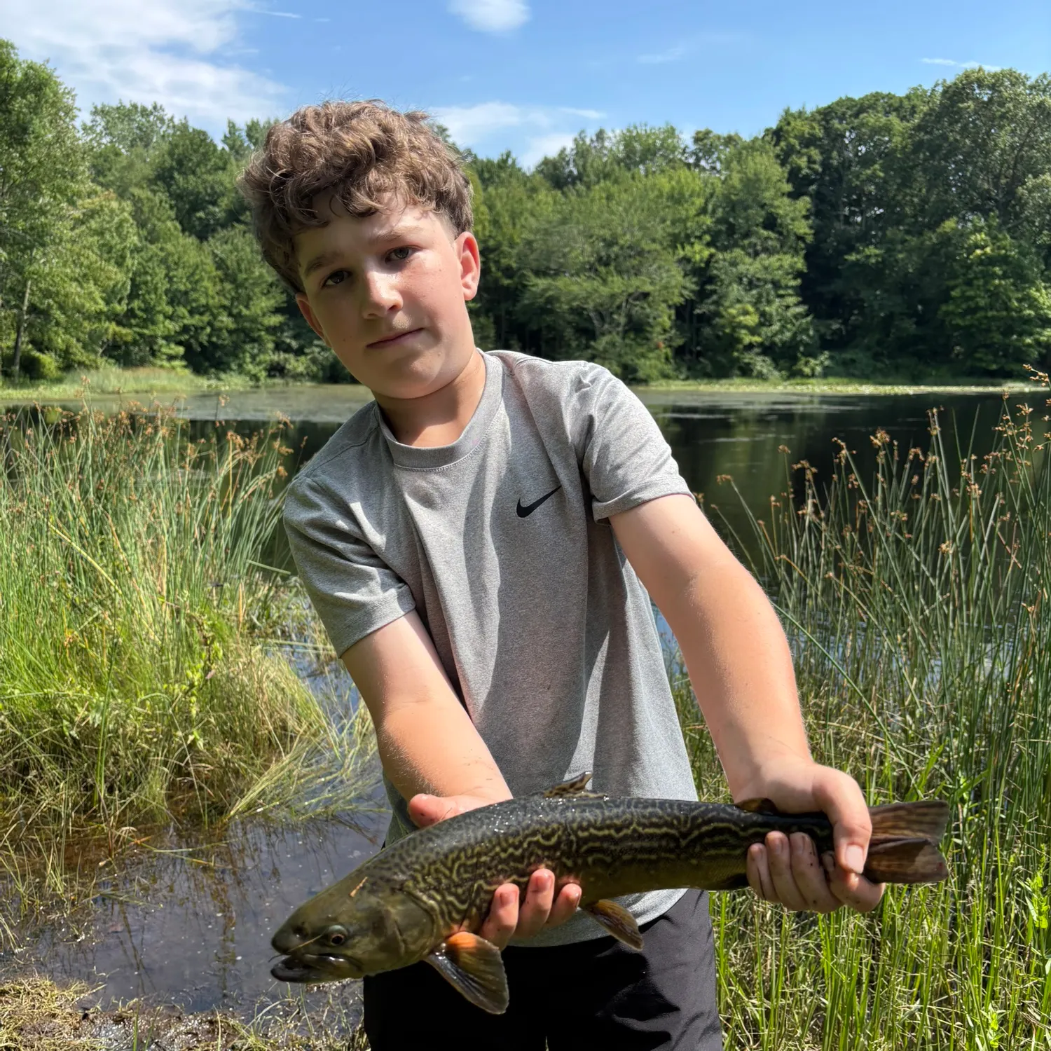The most recent Tiger trout catches on Fishbrain