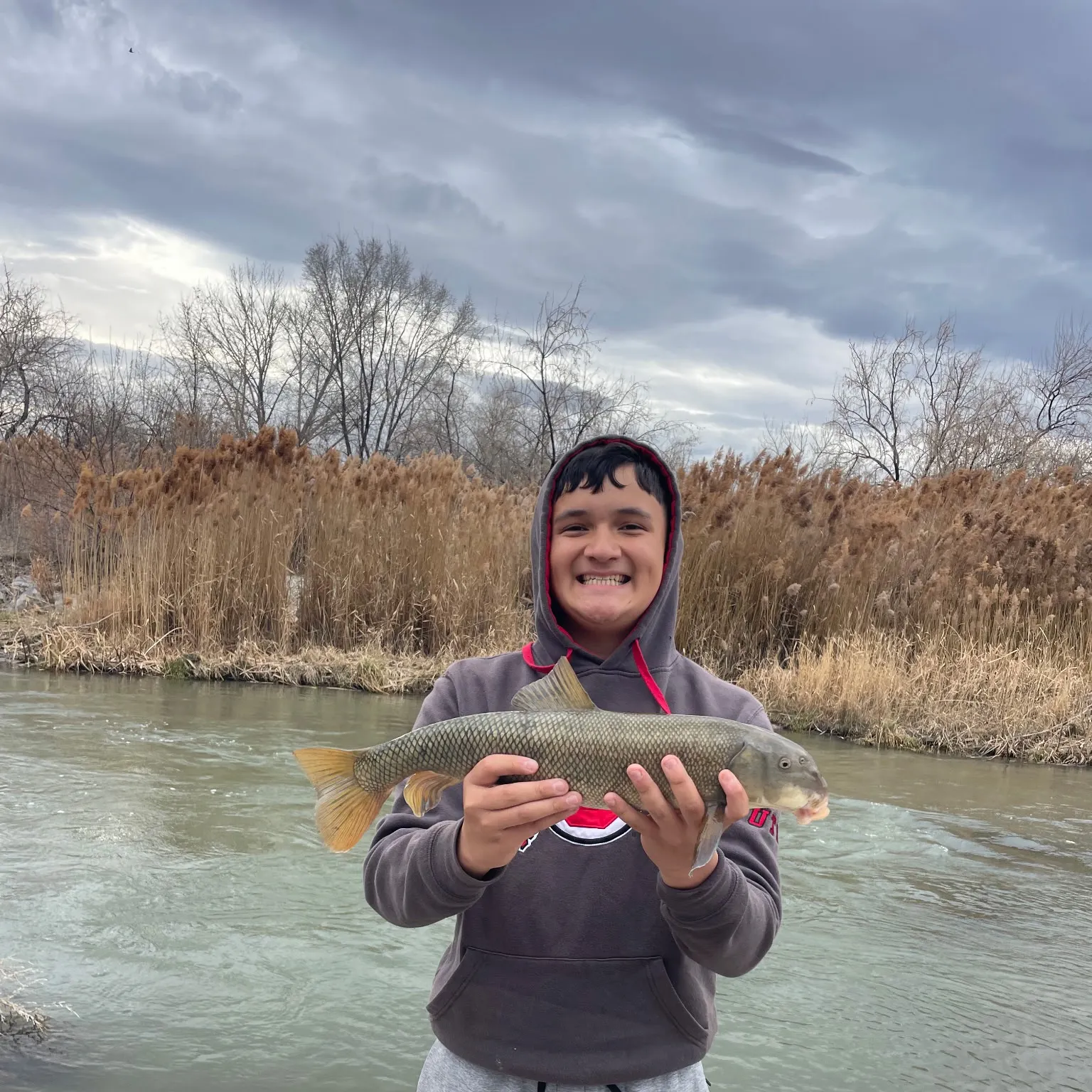The most recent Utah sucker catches on Fishbrain