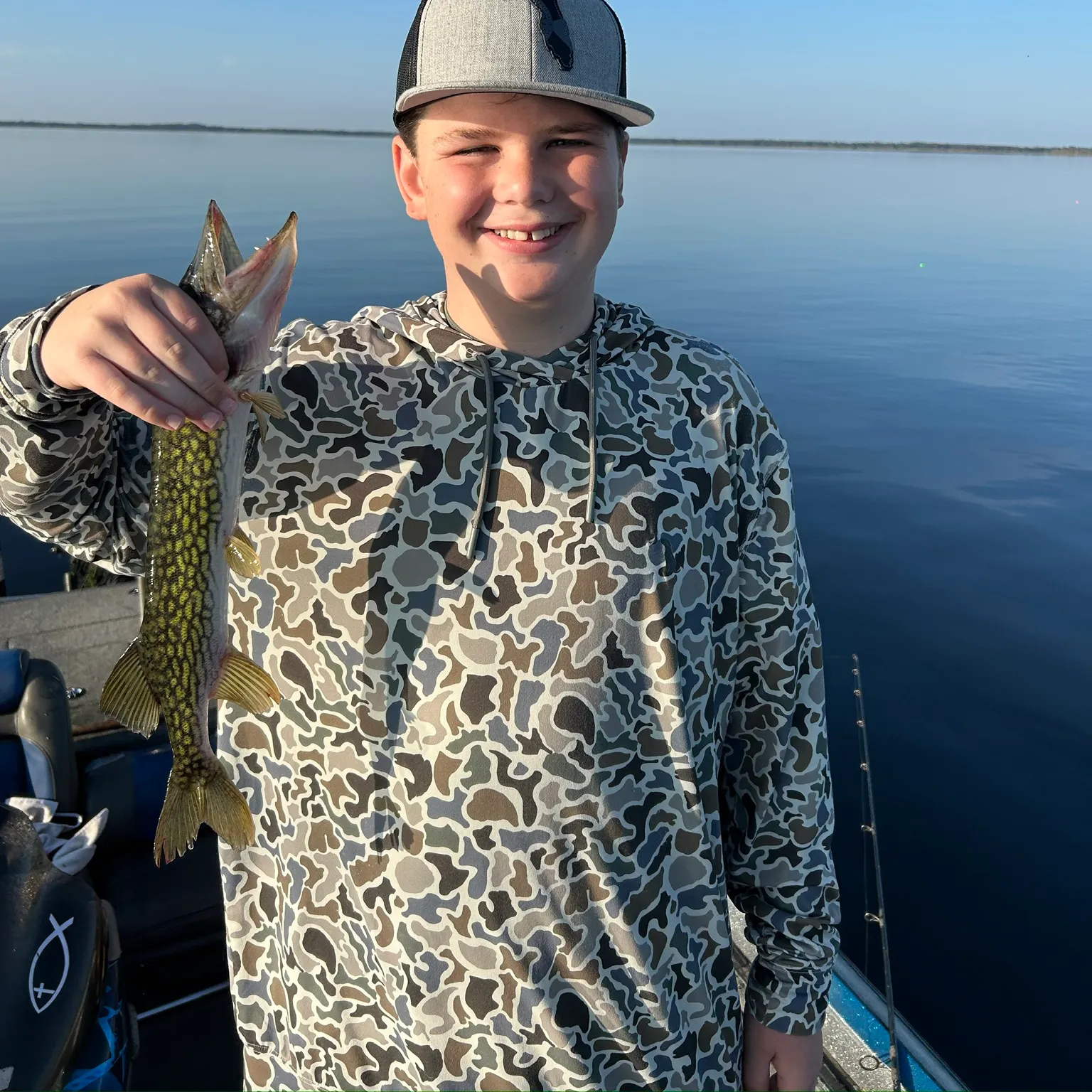 The most recent Chain pickerel catches on Fishbrain