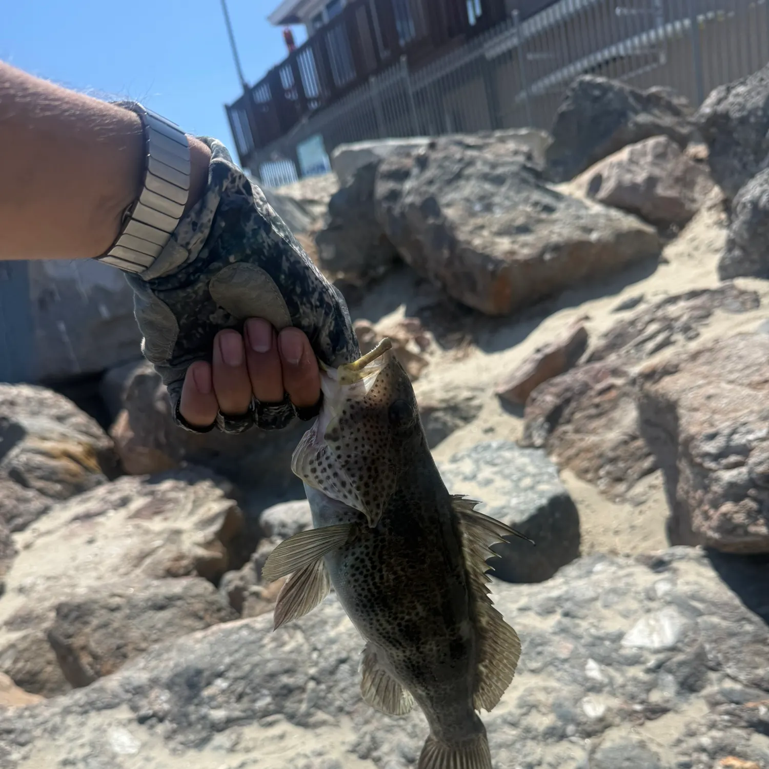 catch