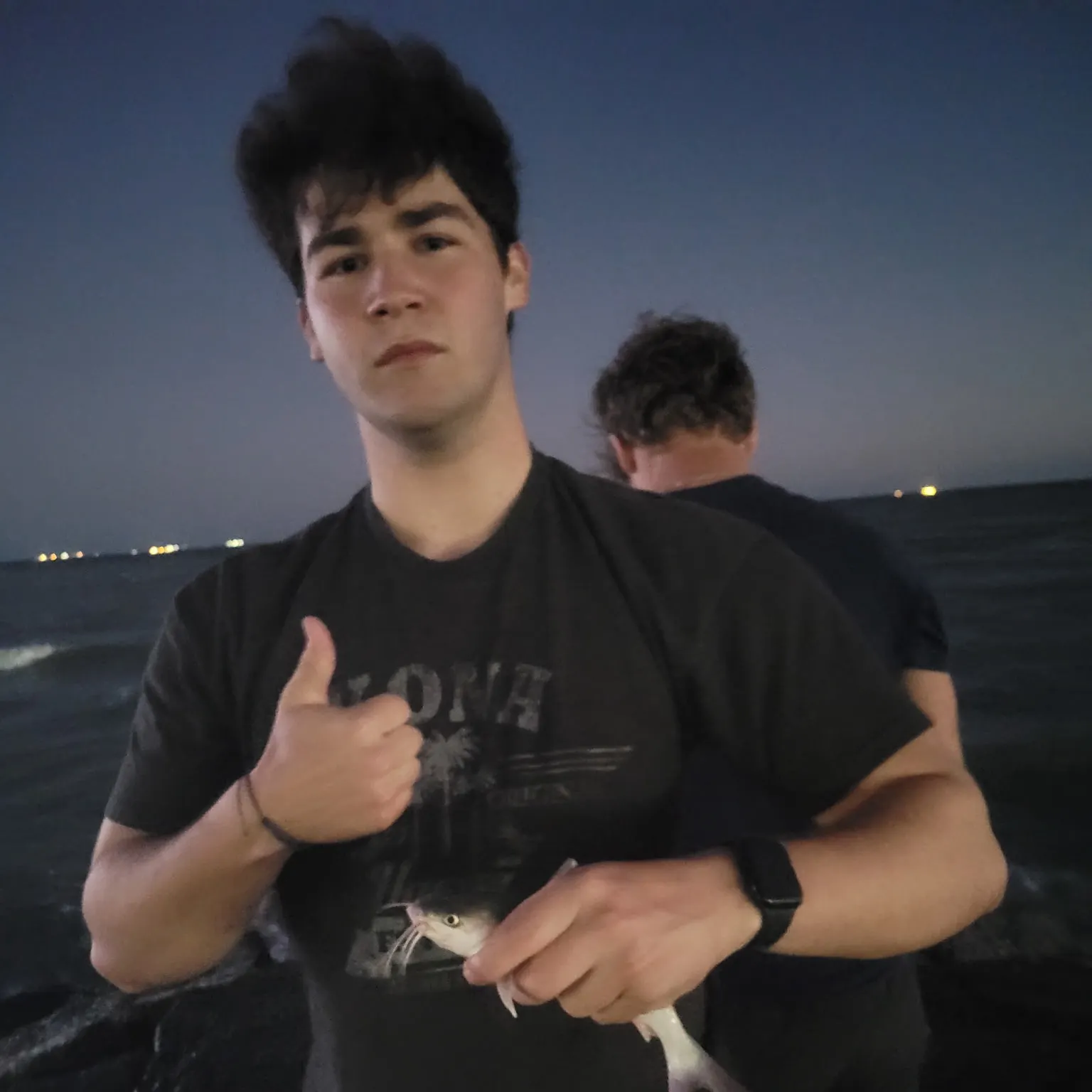 The most recent Coco sea catfish catches on Fishbrain
